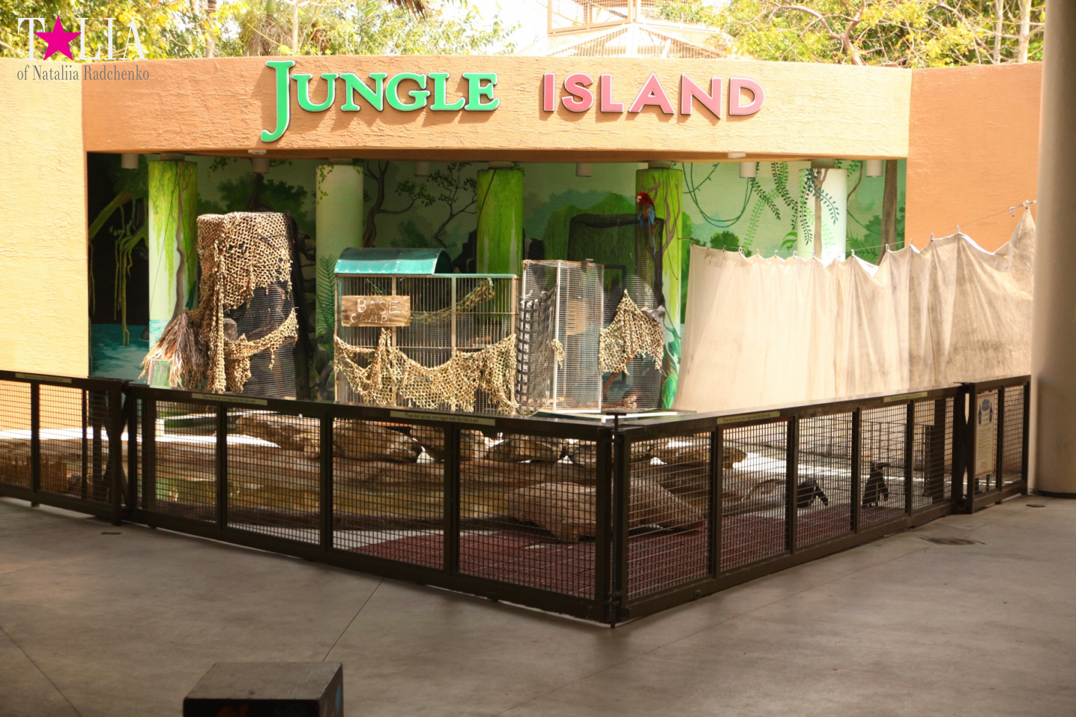 Кенгуру, тигры, черепахи и козлы Джангл Айленд, Майами, Флорида