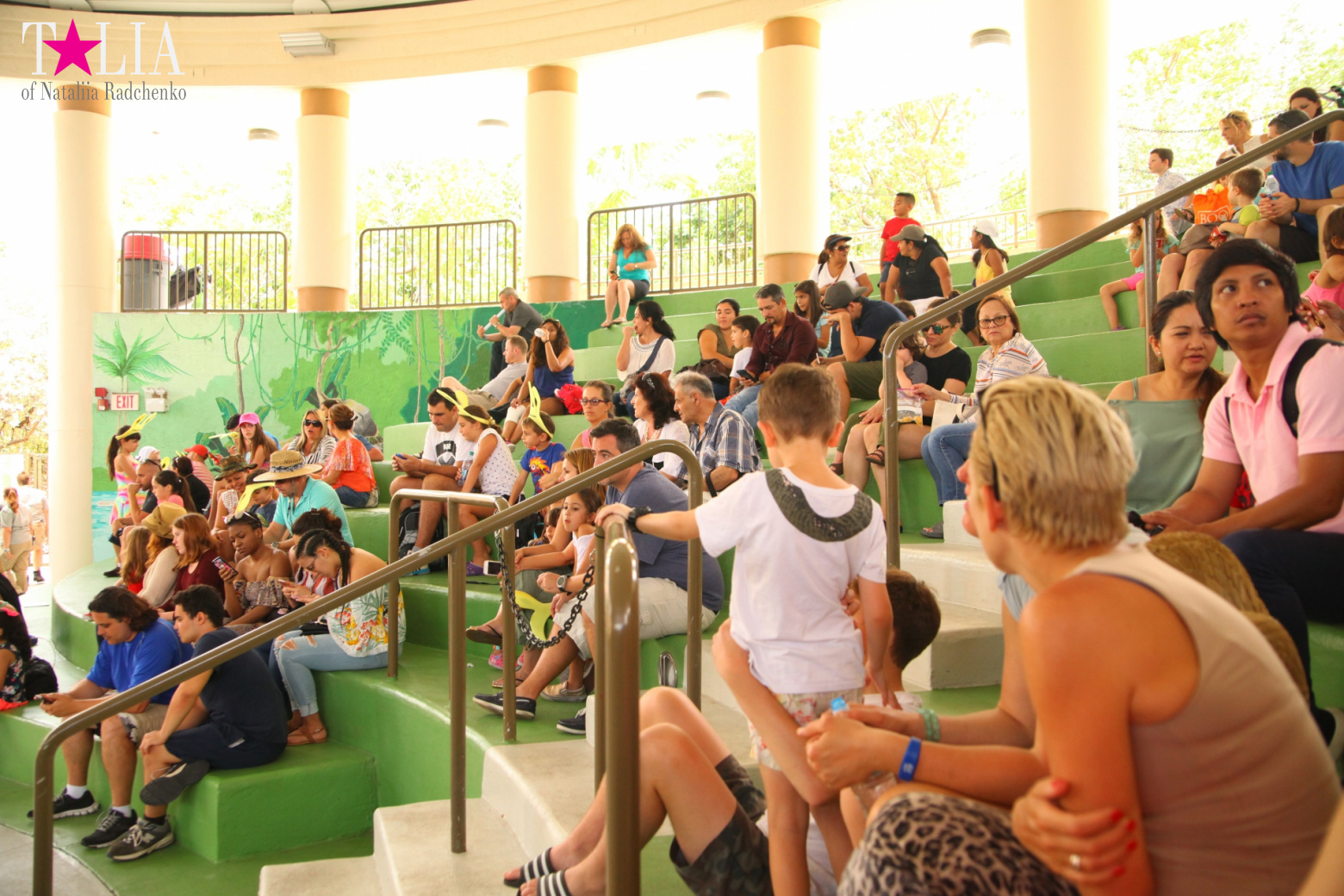 Кенгуру, тигры, черепахи и козлы Джангл Айленд, Майами, Флорида