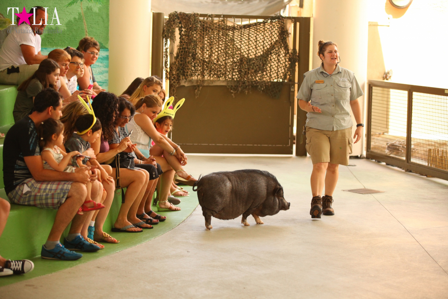 Кенгуру, тигры, черепахи и козлы Джангл Айленд, Майами, Флорида