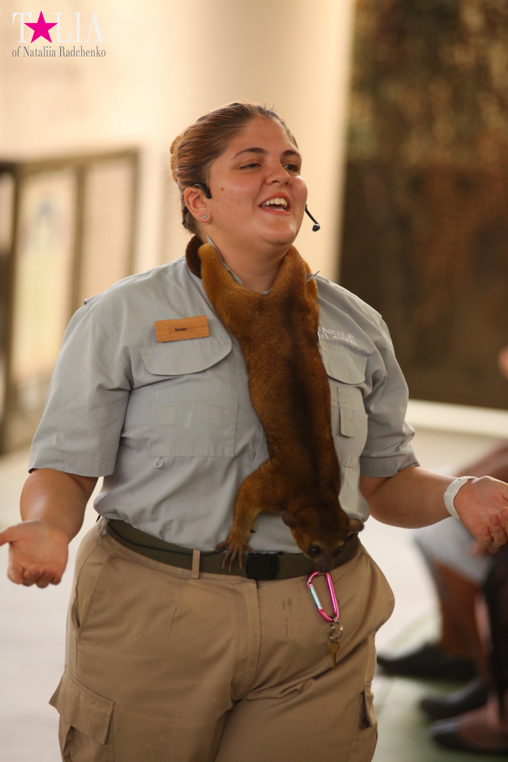 Кенгуру, тигры, черепахи и козлы Джангл Айленд, Майами, Флорида