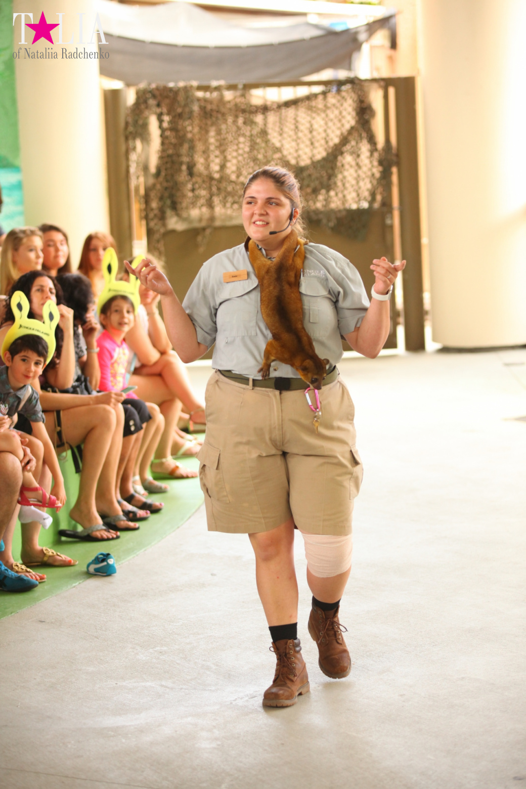 Кенгуру, тигры, черепахи и козлы Джангл Айленд, Майами, Флорида
