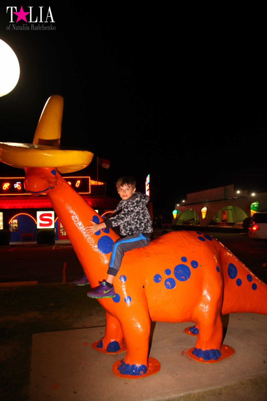 ''South of the Border". Середина пути по дороге из Нью-Йорка в Майами на машине