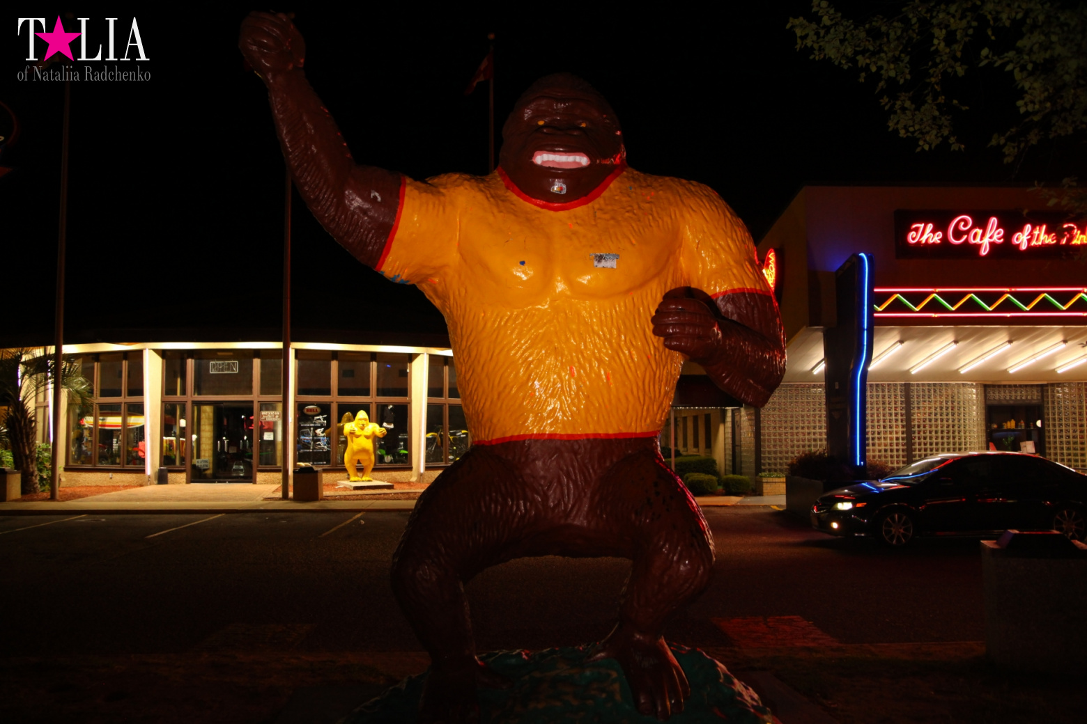 ''South of the Border". The middle of the way from New York to Miami by car