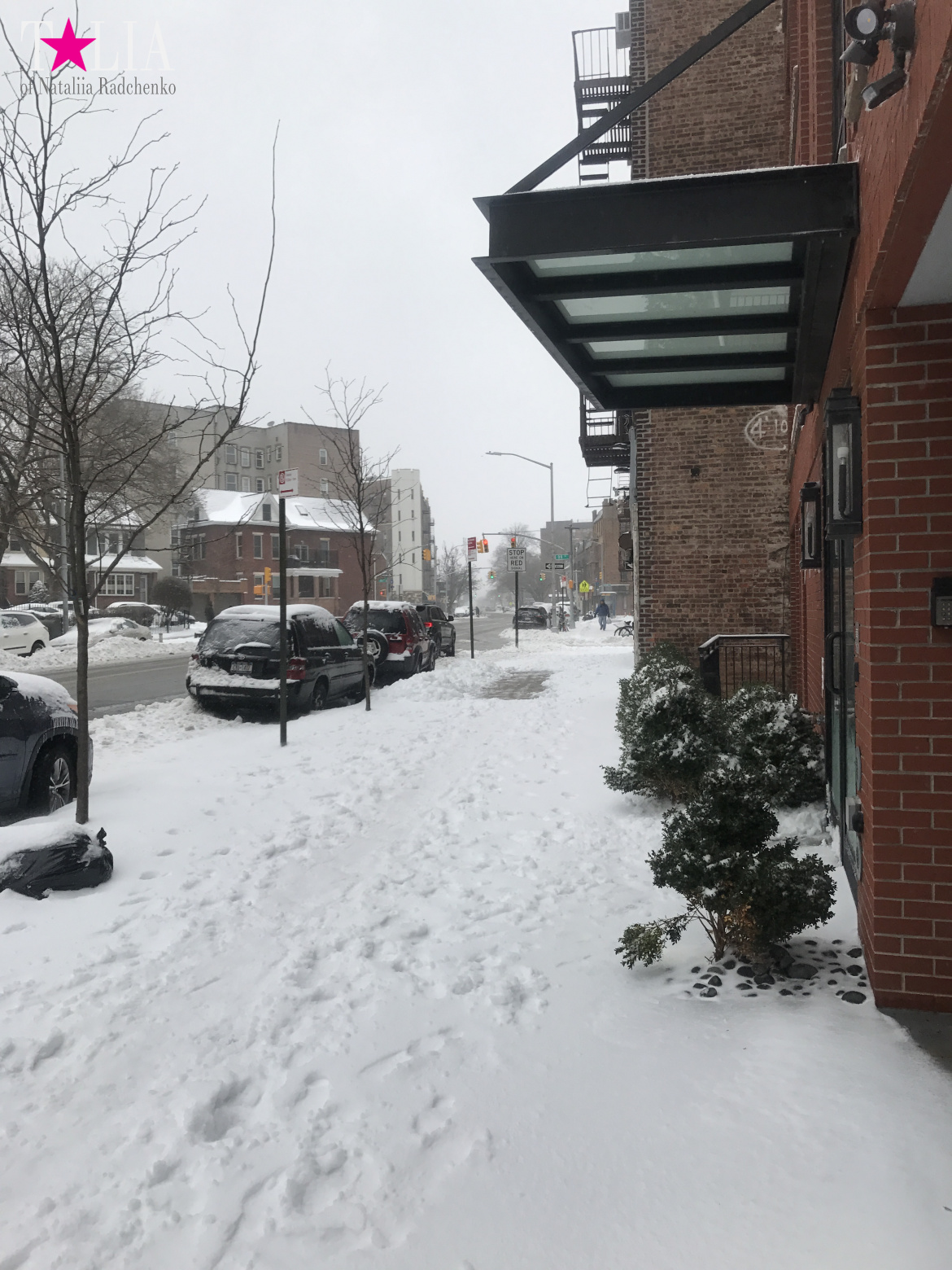 Снежный шторм "Стелла" 14 марта 2017 в Нью-Йорке