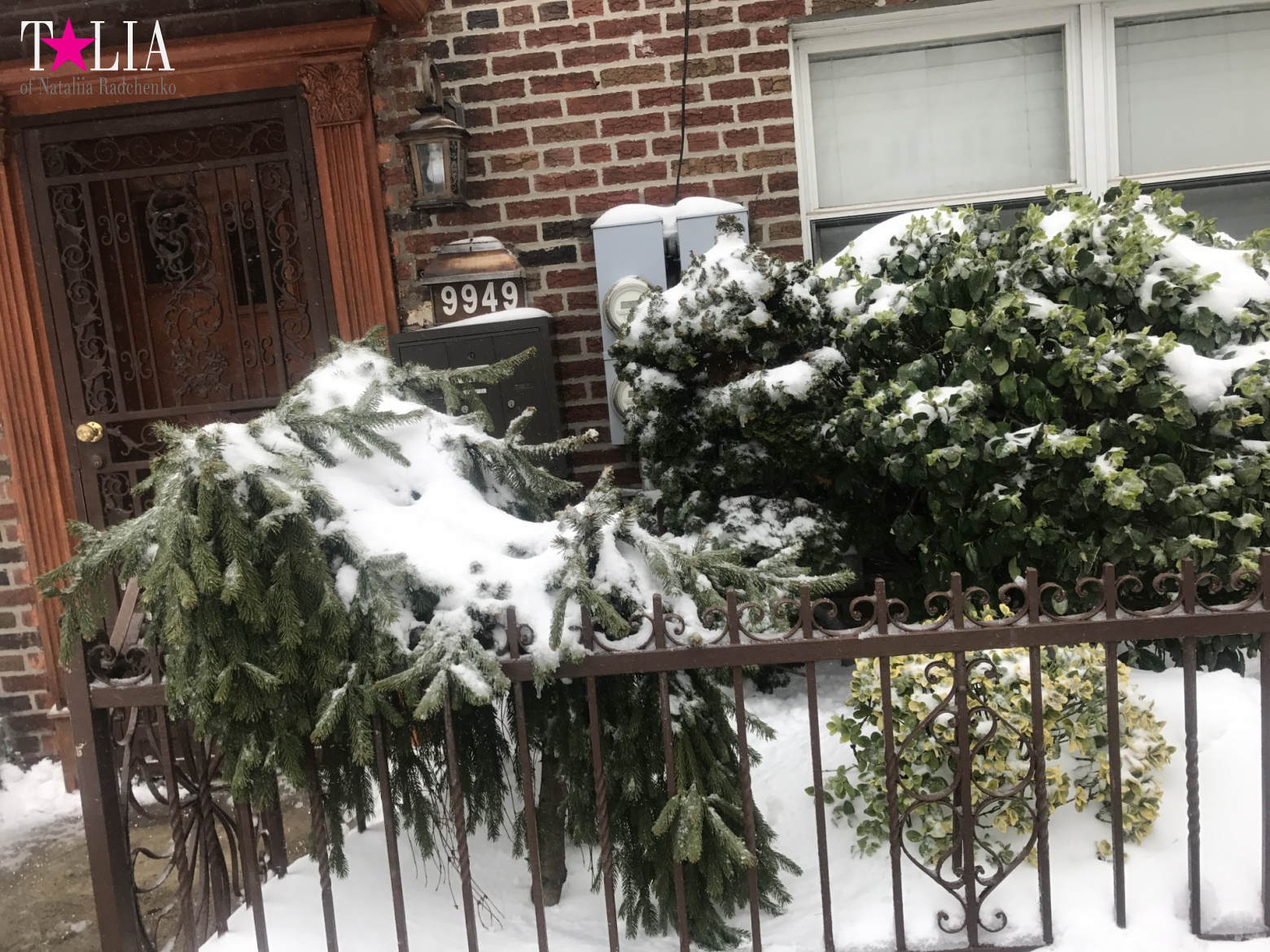 Snow Storm "Stella" on March 14, 2017 in New York