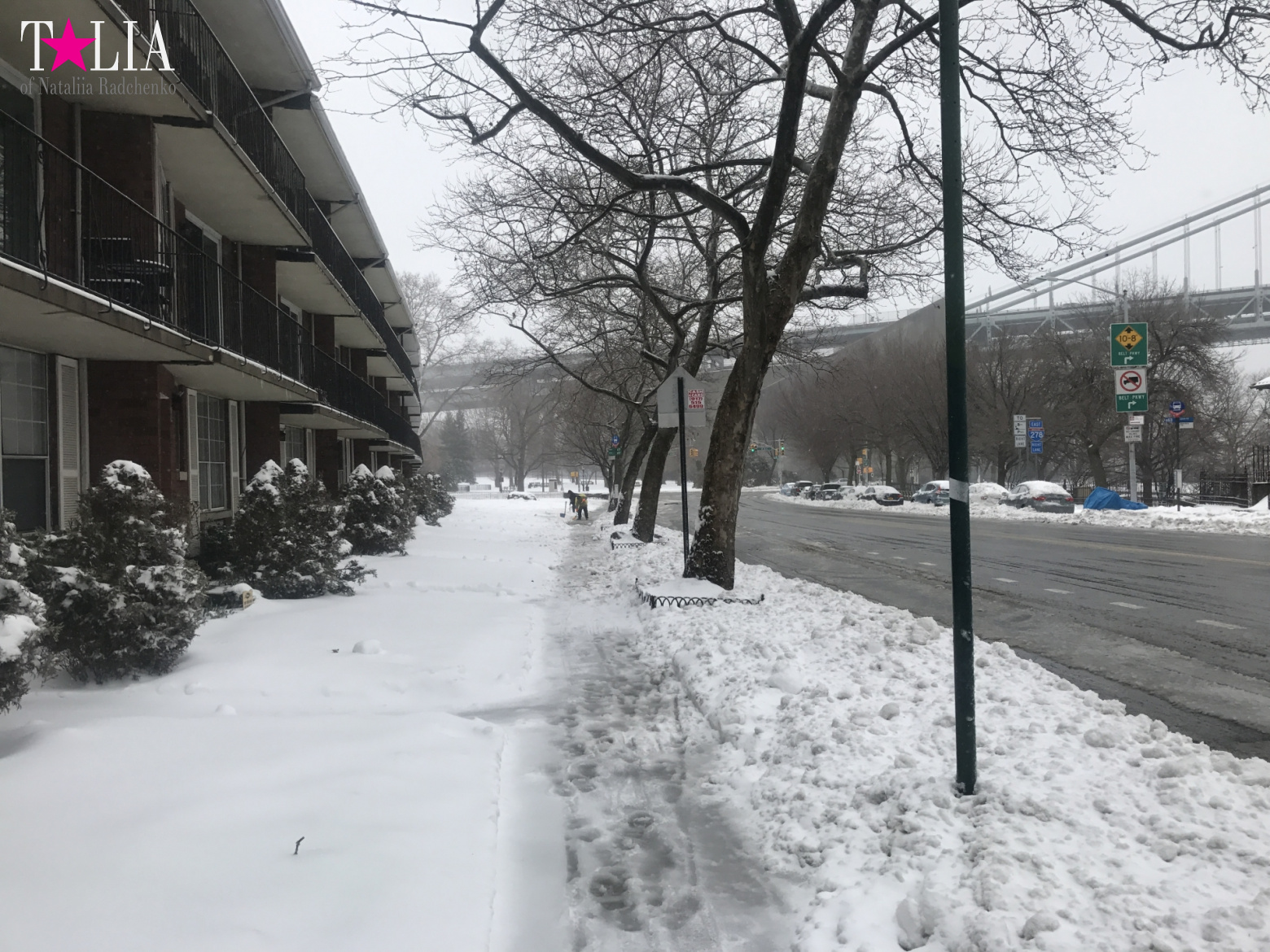 Снежный шторм "Стелла" 14 марта 2017 в Нью-Йорке