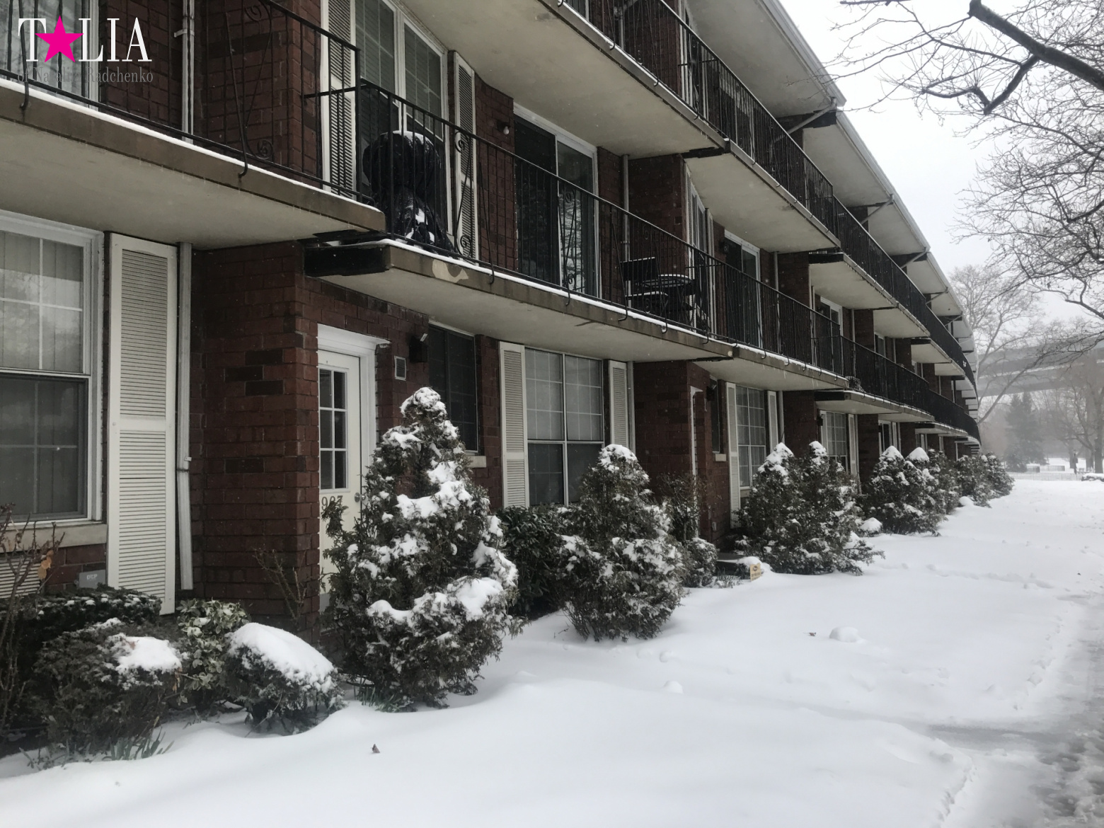 Снежный шторм "Стелла" 14 марта 2017 в Нью-Йорке