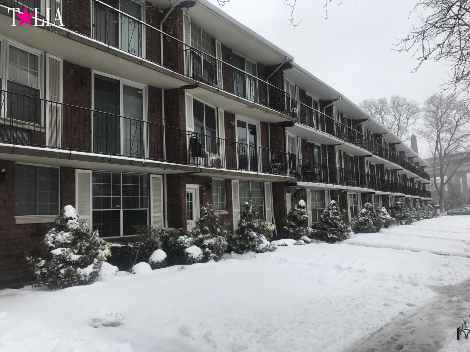 Снежный шторм "Стелла" 14 марта 2017 в Нью-Йорке