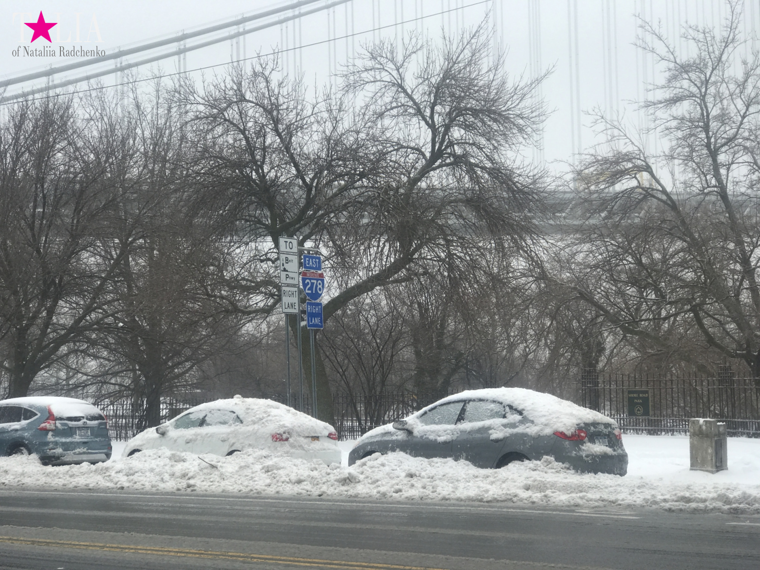 Снежный шторм "Стелла" 14 марта 2017 в Нью-Йорке