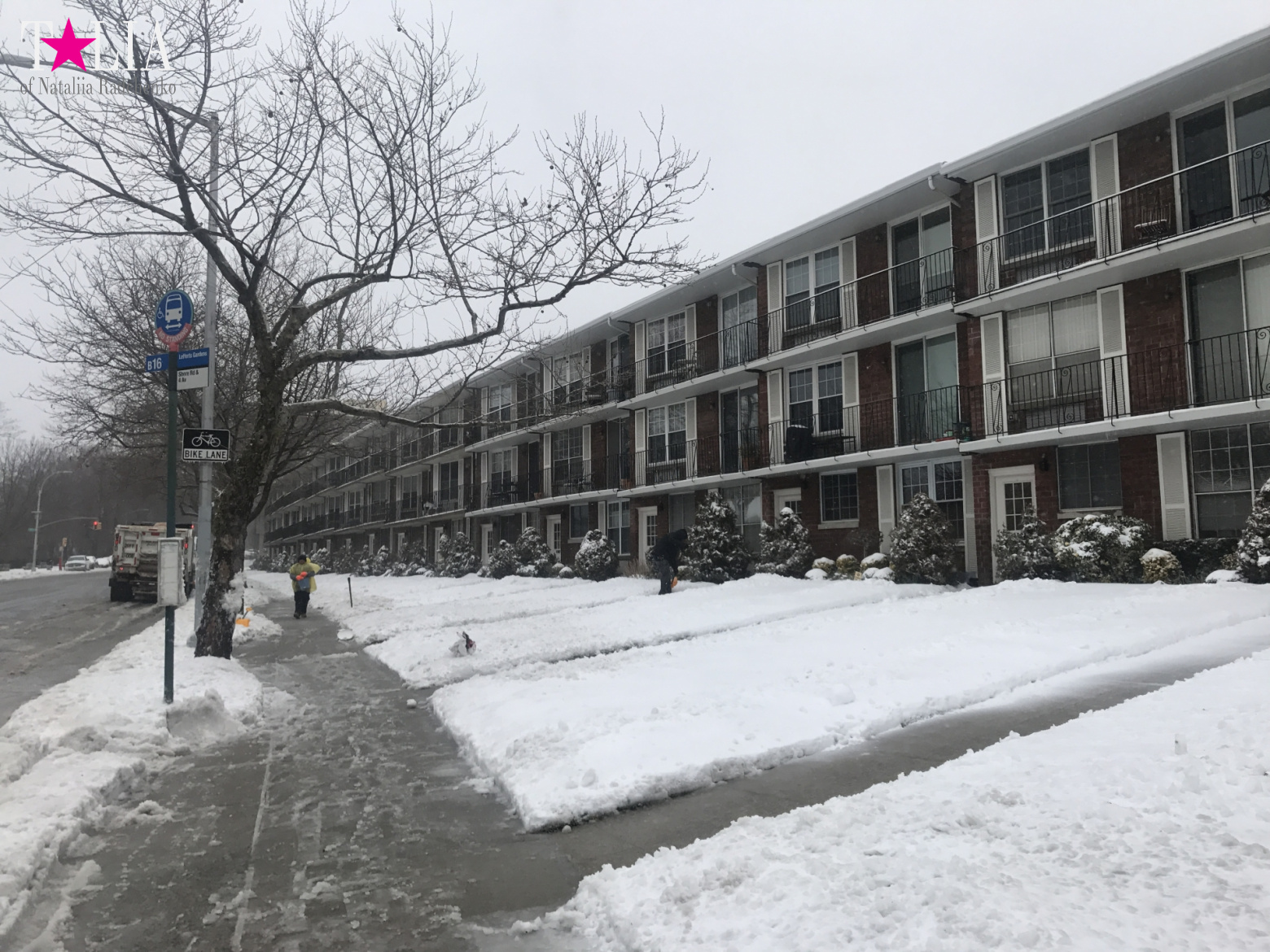 Снежный шторм "Стелла" 14 марта 2017 в Нью-Йорке