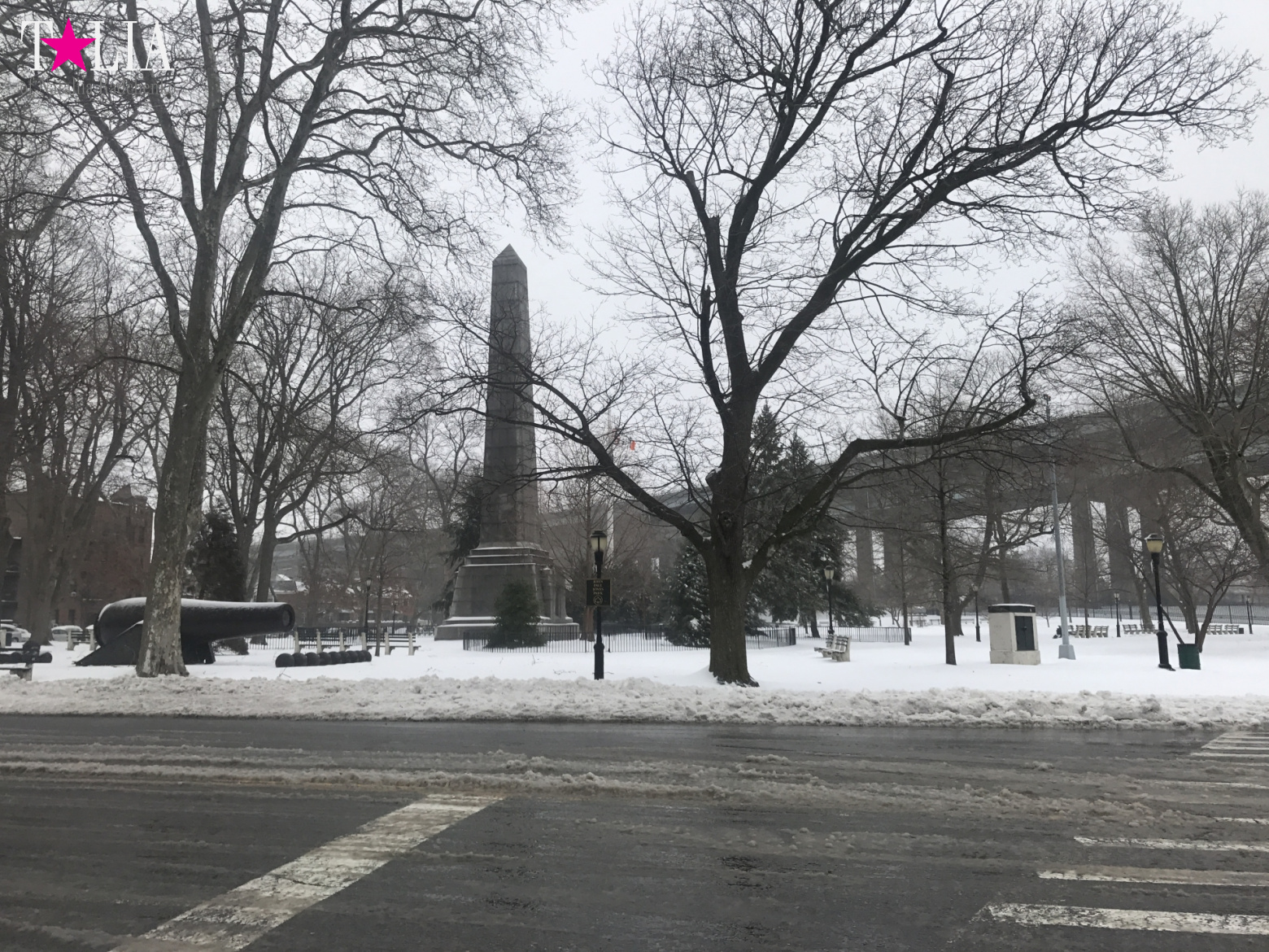 Снежный шторм "Стелла" 14 марта 2017 в Нью-Йорке