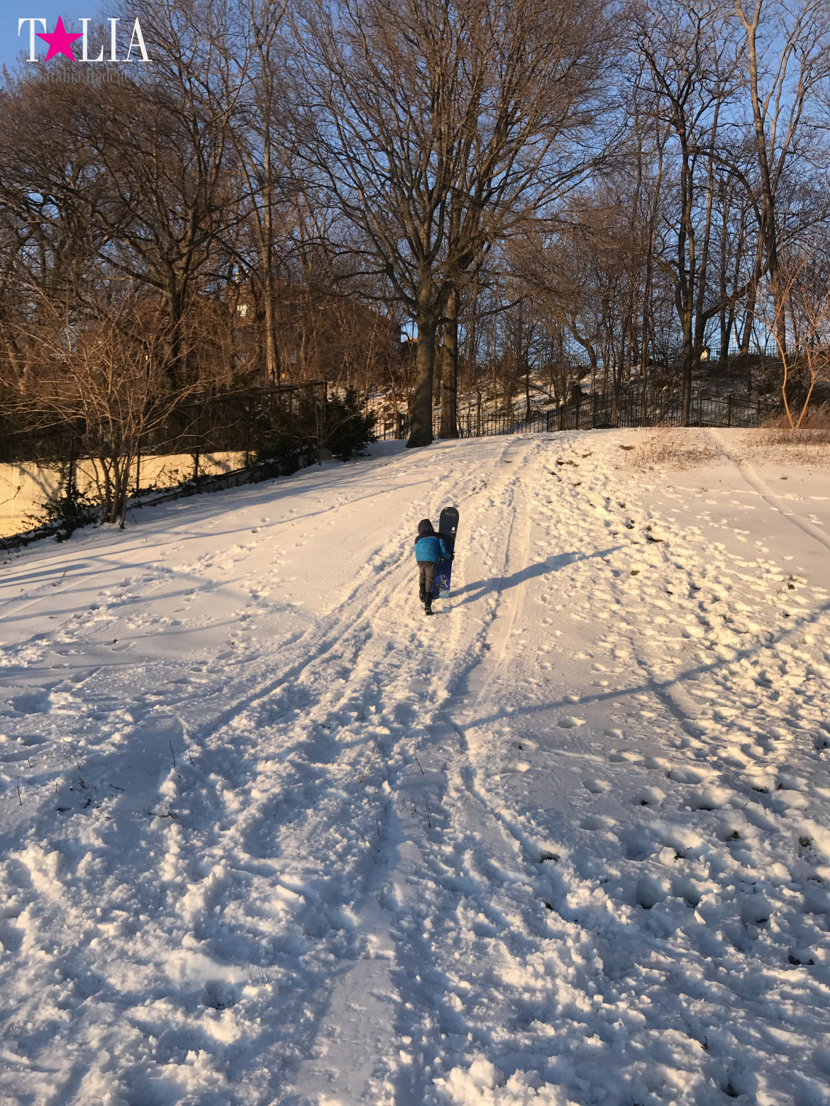 Snow in New York is a great rarity and great joy