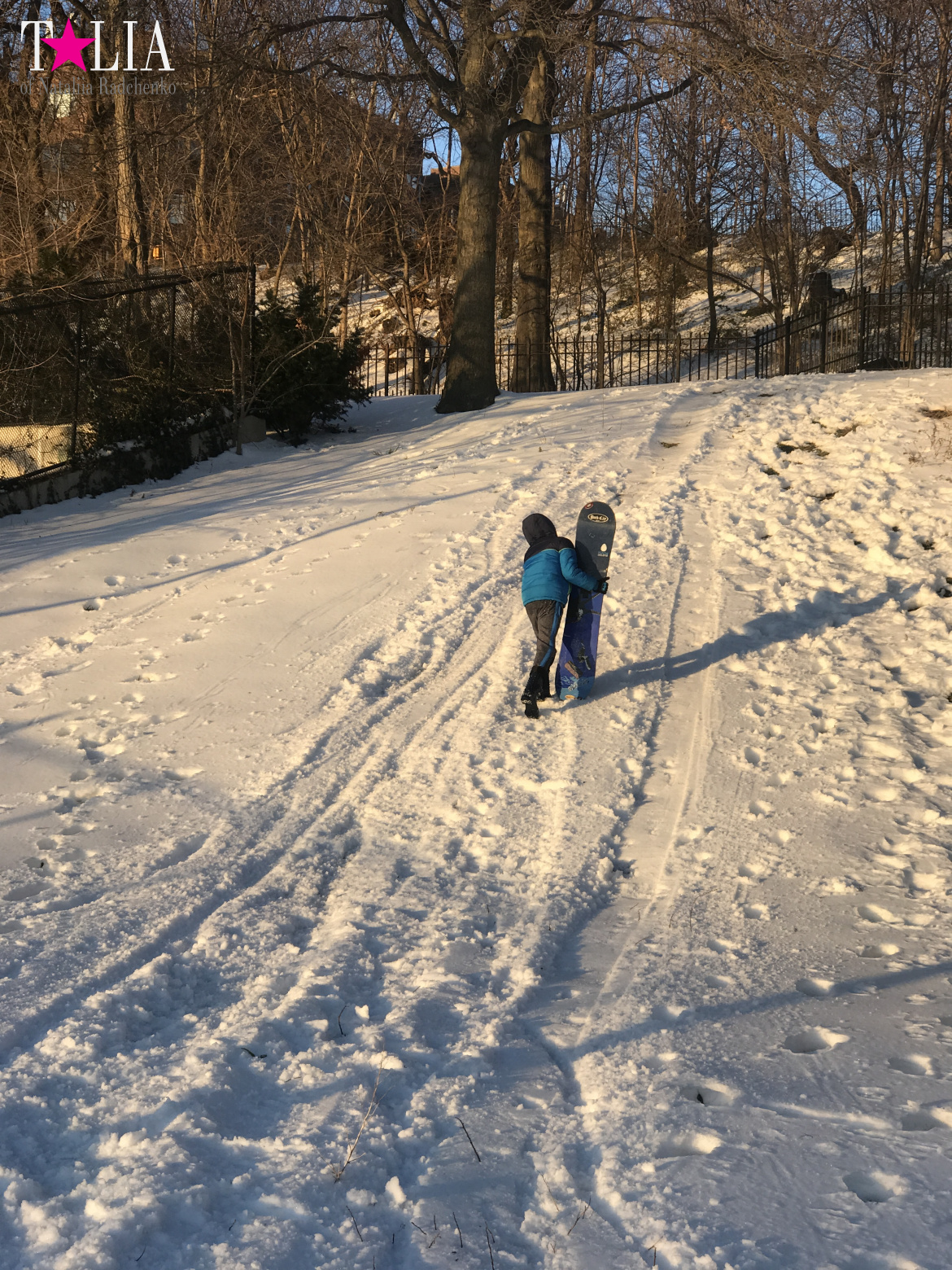 Snow in New York is a great rarity and great joy
