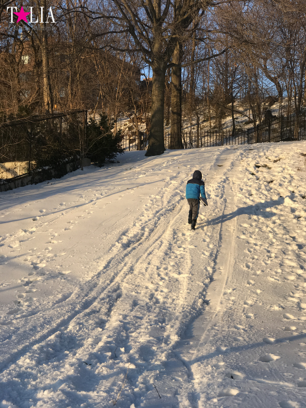 Snow in New York is a great rarity and great joy
