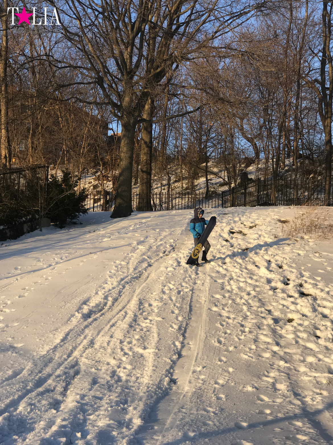 Снег в Нью-Йорке - большая редкость и большая радость