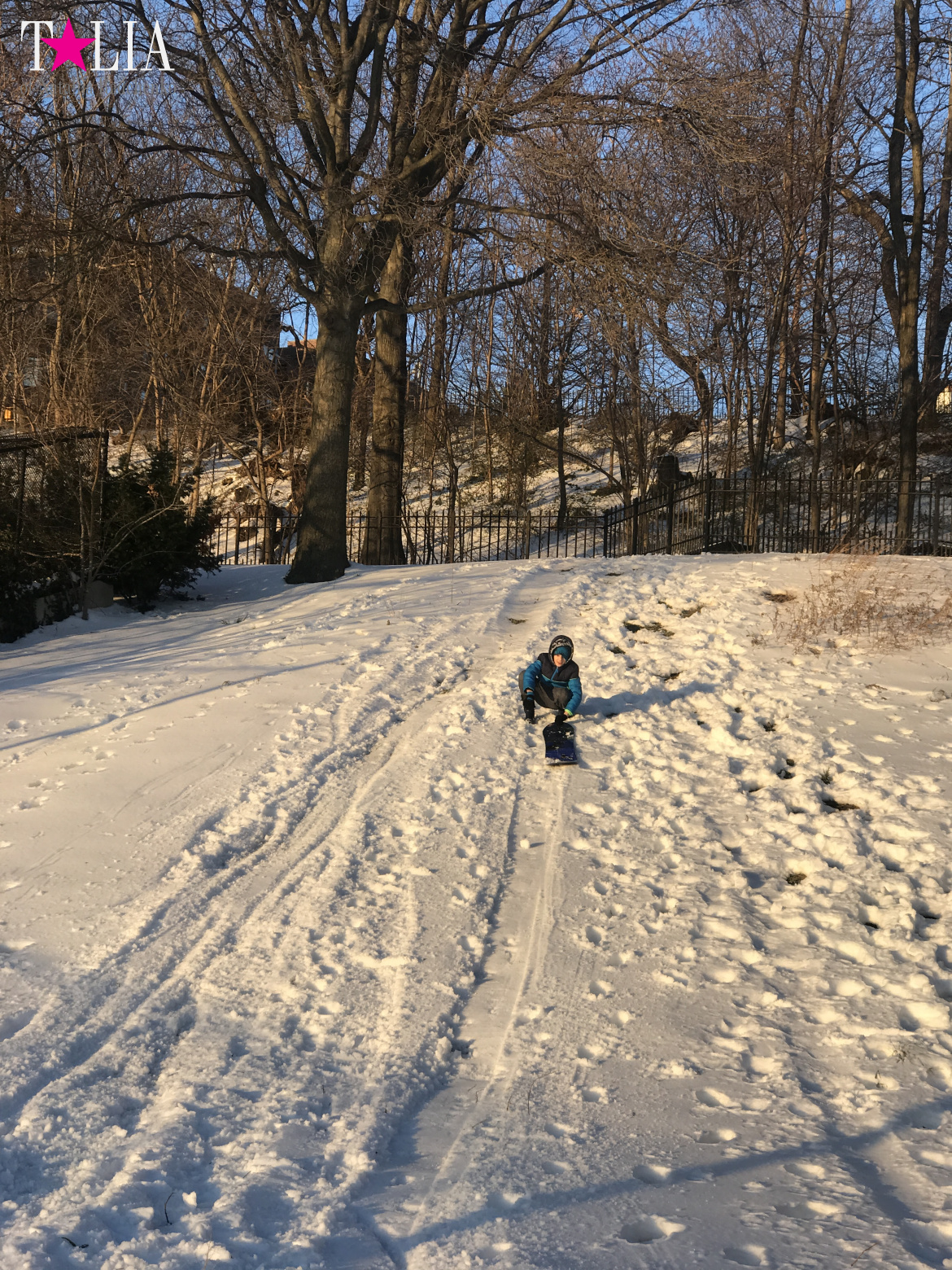 Snow in New York is a great rarity and great joy