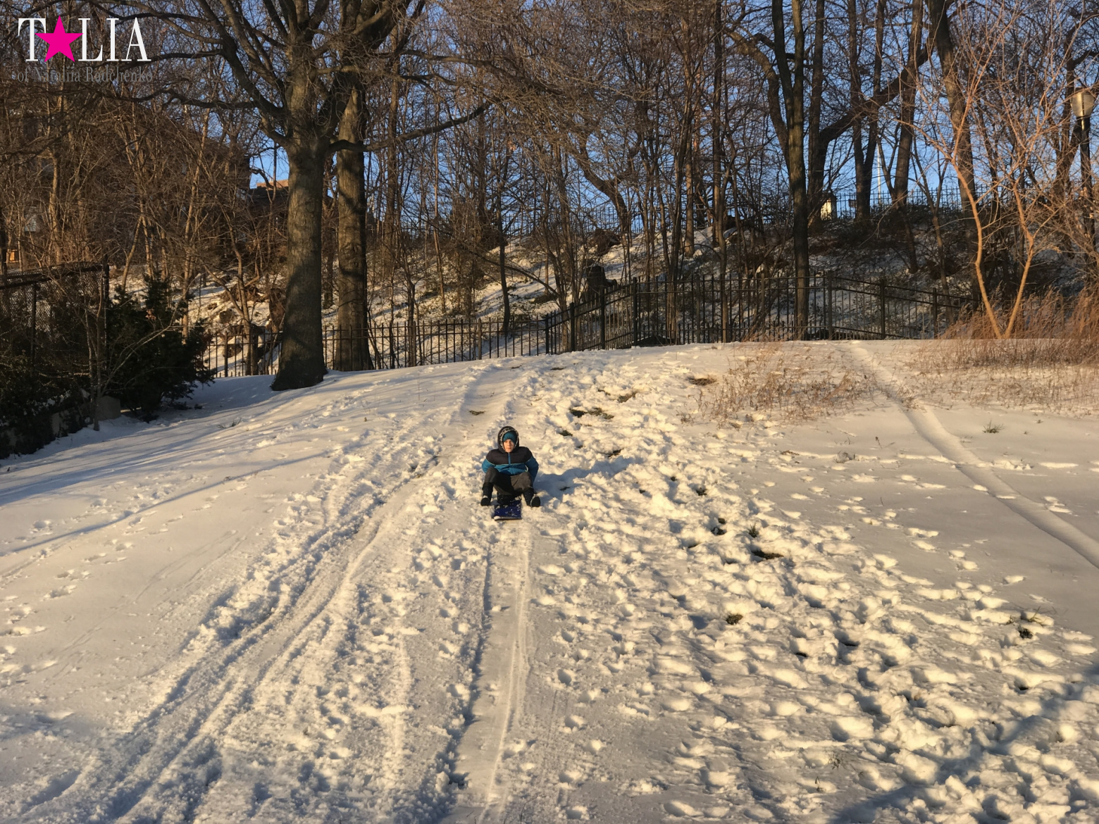 Snow in New York is a great rarity and great joy