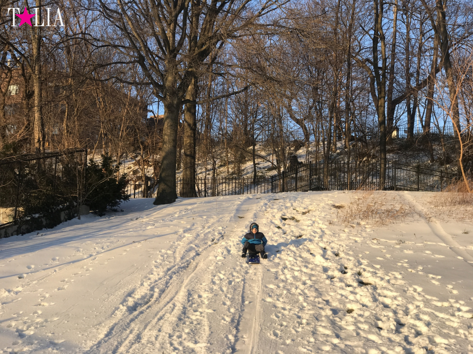 Snow in New York is a great rarity and great joy