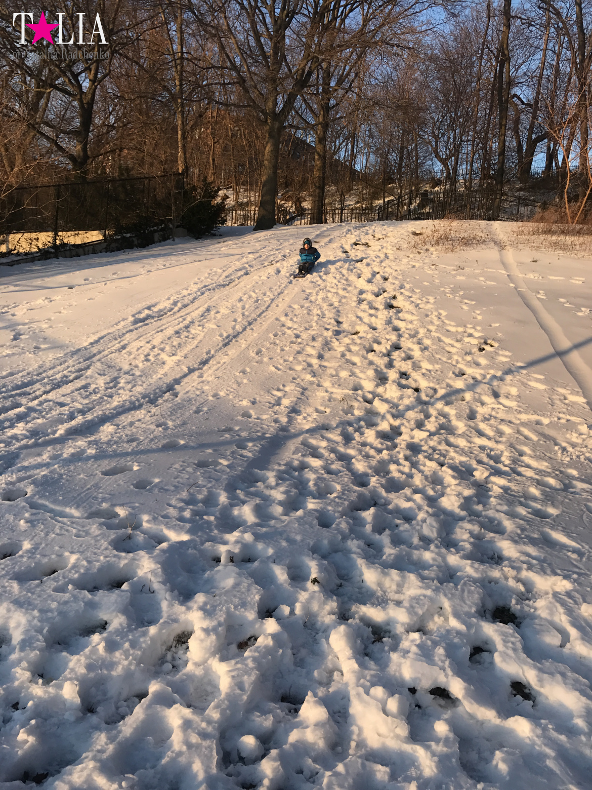 Snow in New York is a great rarity and great joy