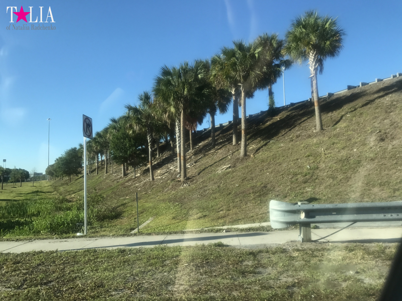 Как поехать из Нью-Йорка в Майами на машине?