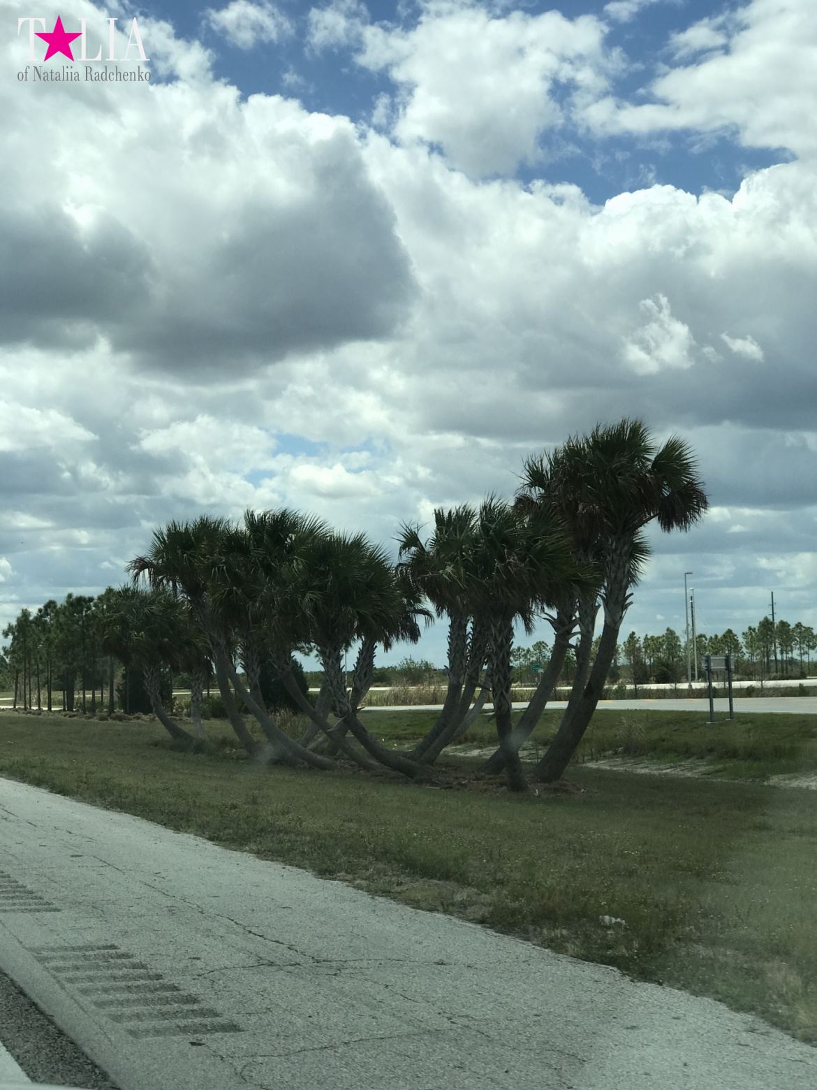 Как поехать из Нью-Йорка в Майами на машине?