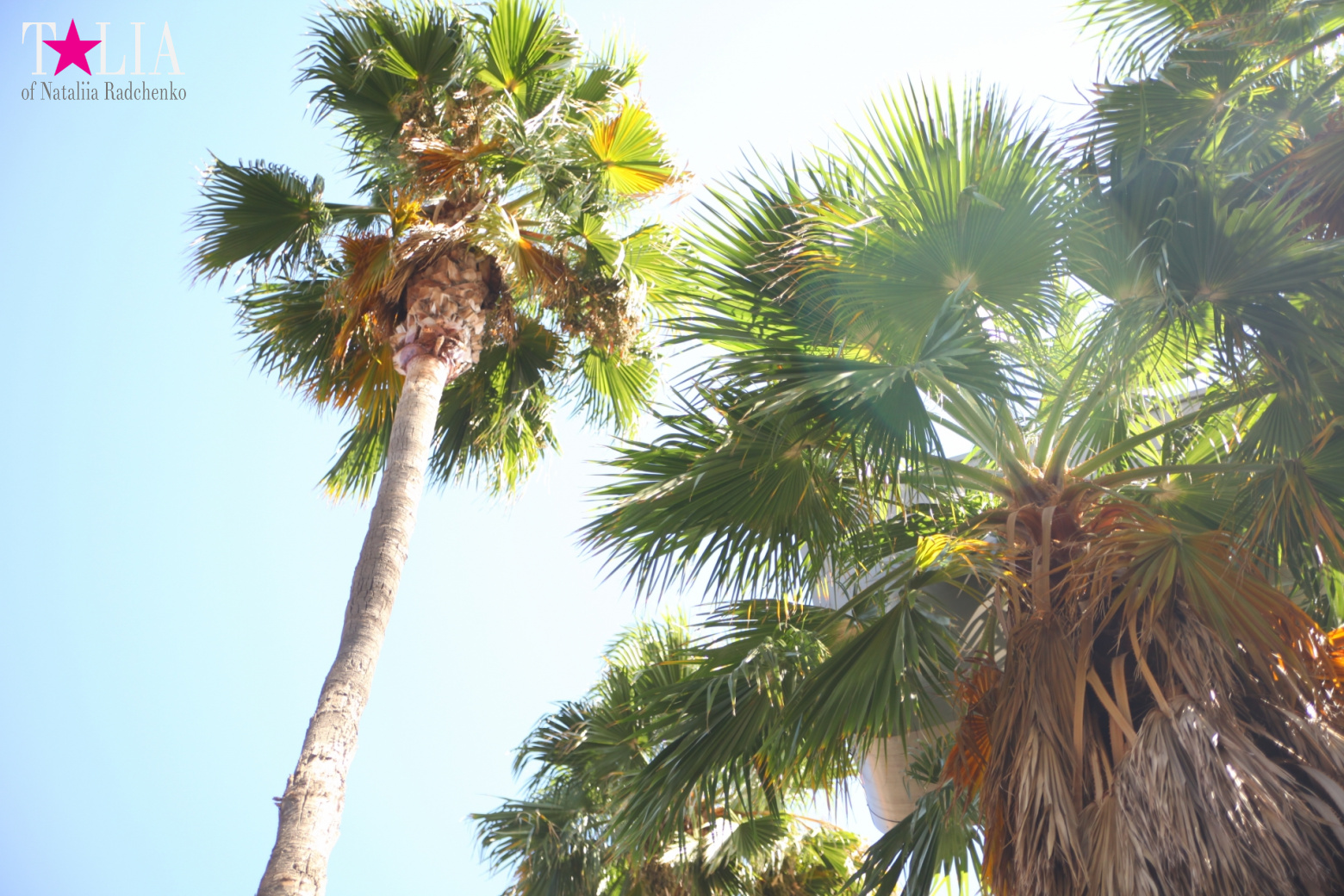 Аллея звезд или Аллея славы в Голливуде (Лос Анджелес, Калифорния)