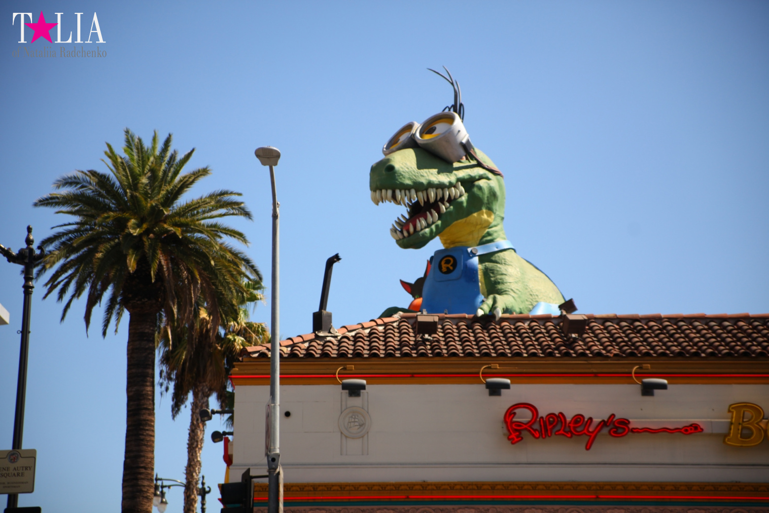 Аллея Славы Голливуда или Аллея отпечатков + "4 леди Голливуда"