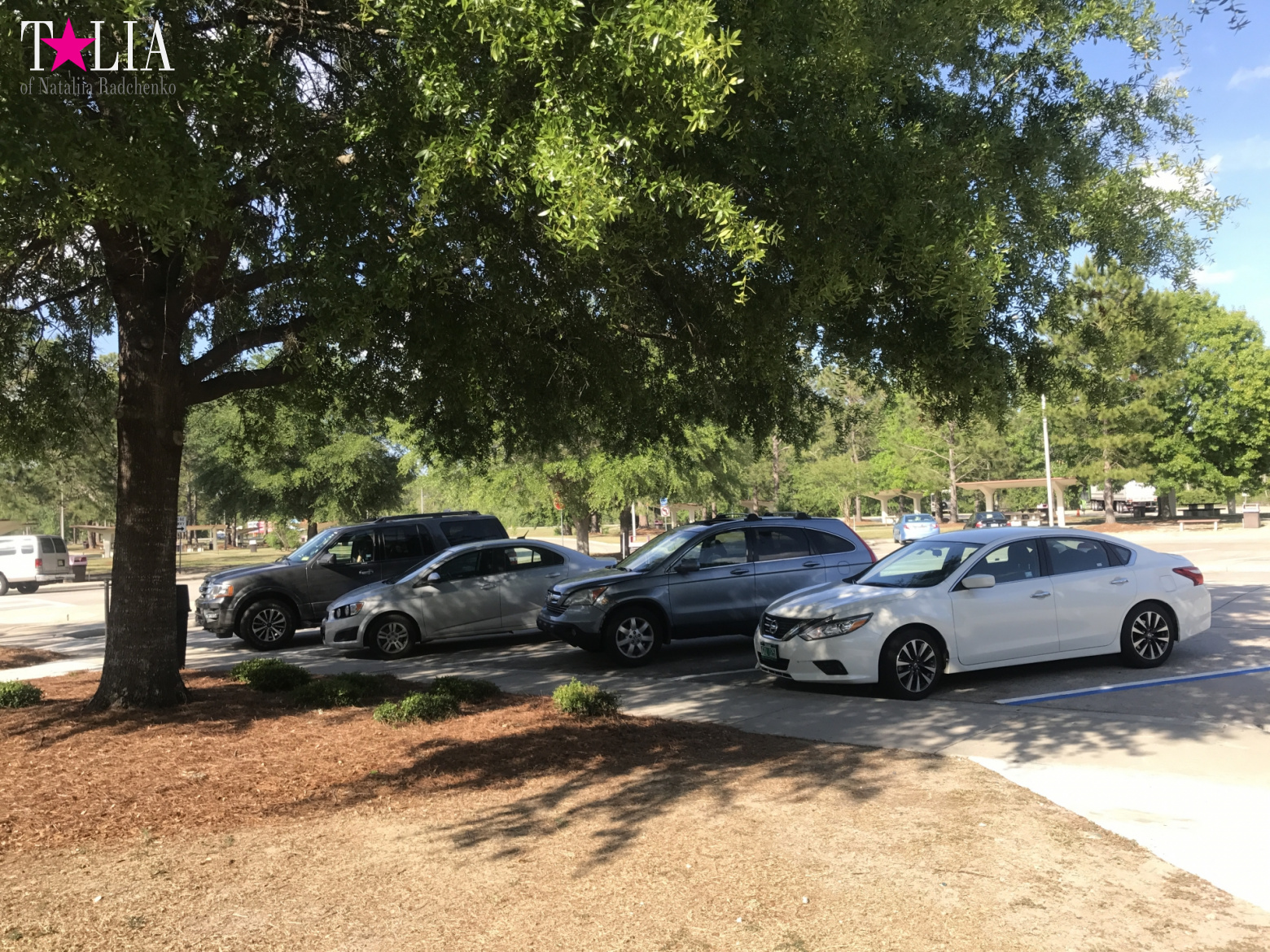 Места для отдыха автомобилистов в Америке