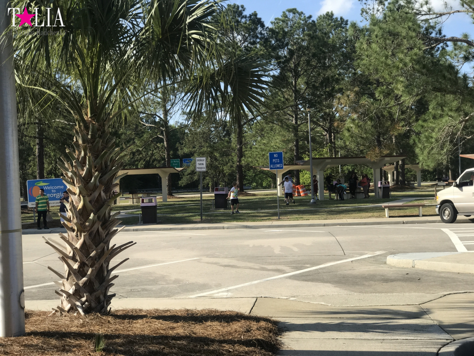 Места для отдыха автомобилистов в Америке