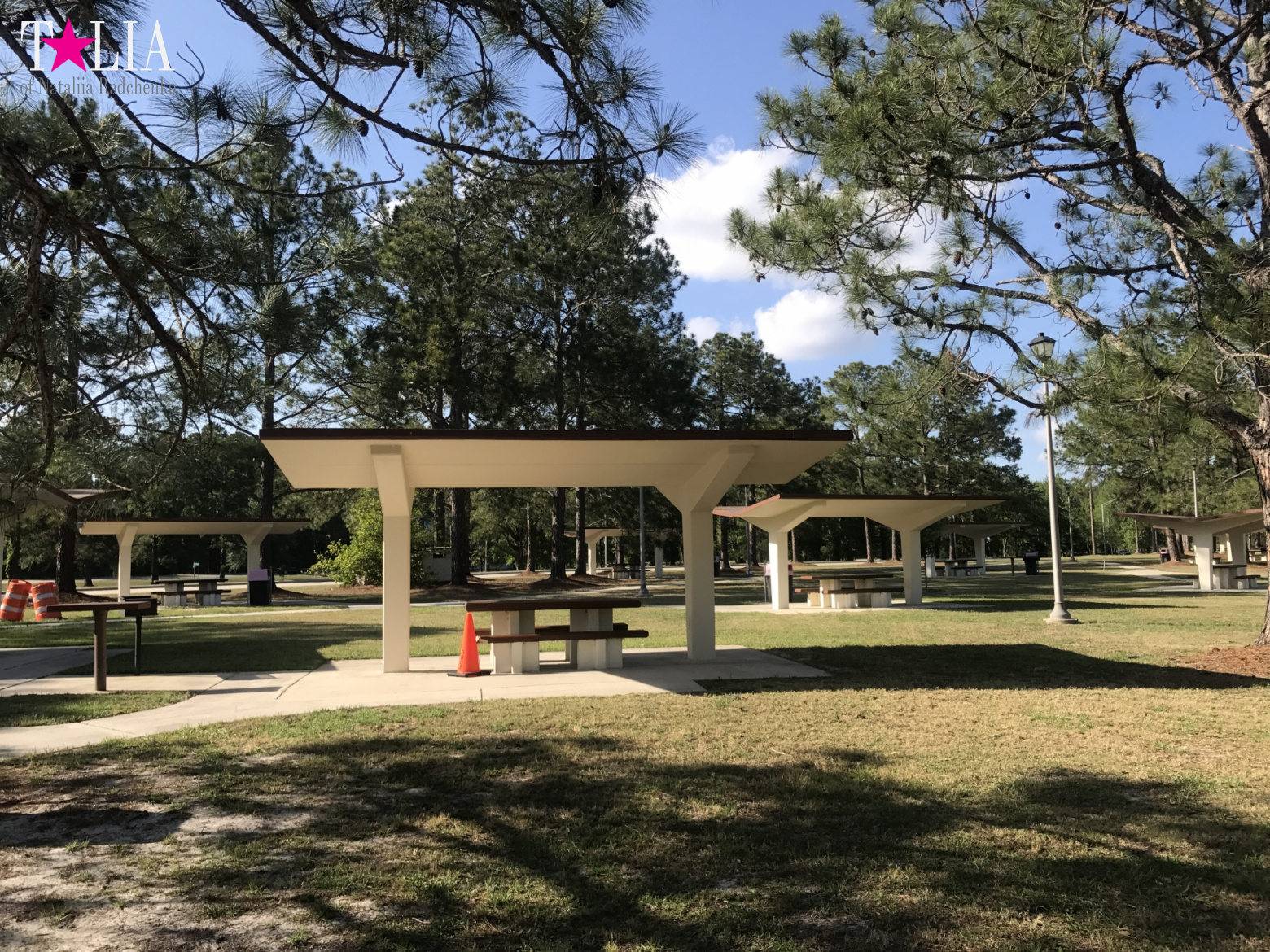 Места для отдыха автомобилистов в Америке