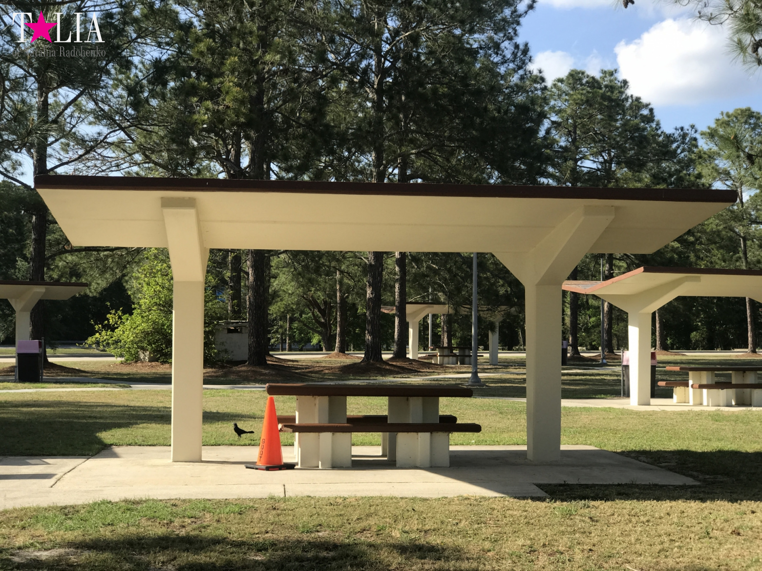 Места для отдыха автомобилистов в Америке