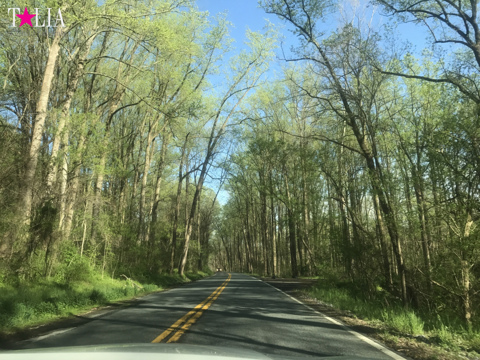 Как поехать из Нью-Йорка в Майами на машине?