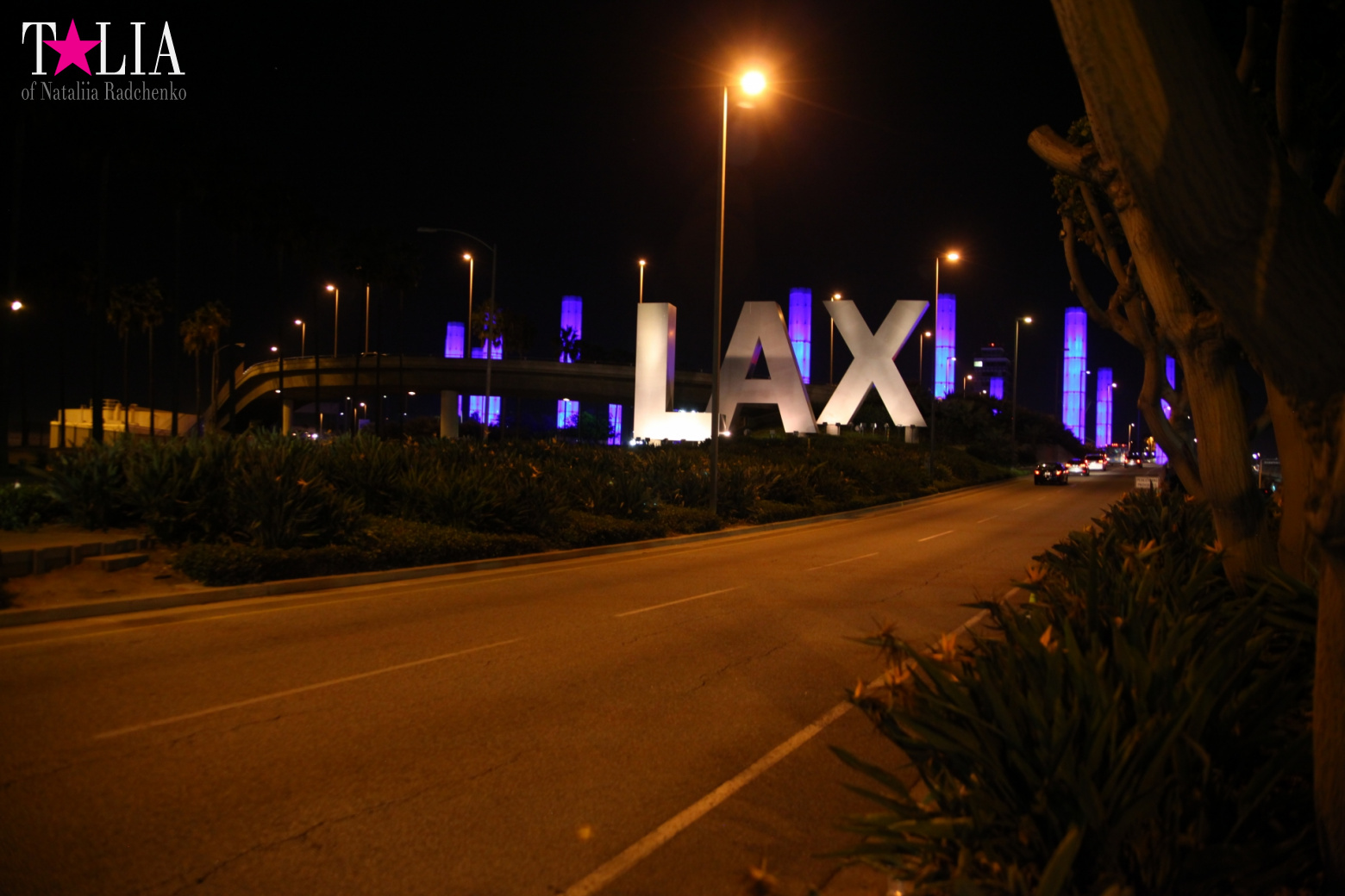 Downtown Los Angeles + Sign LAX (California)