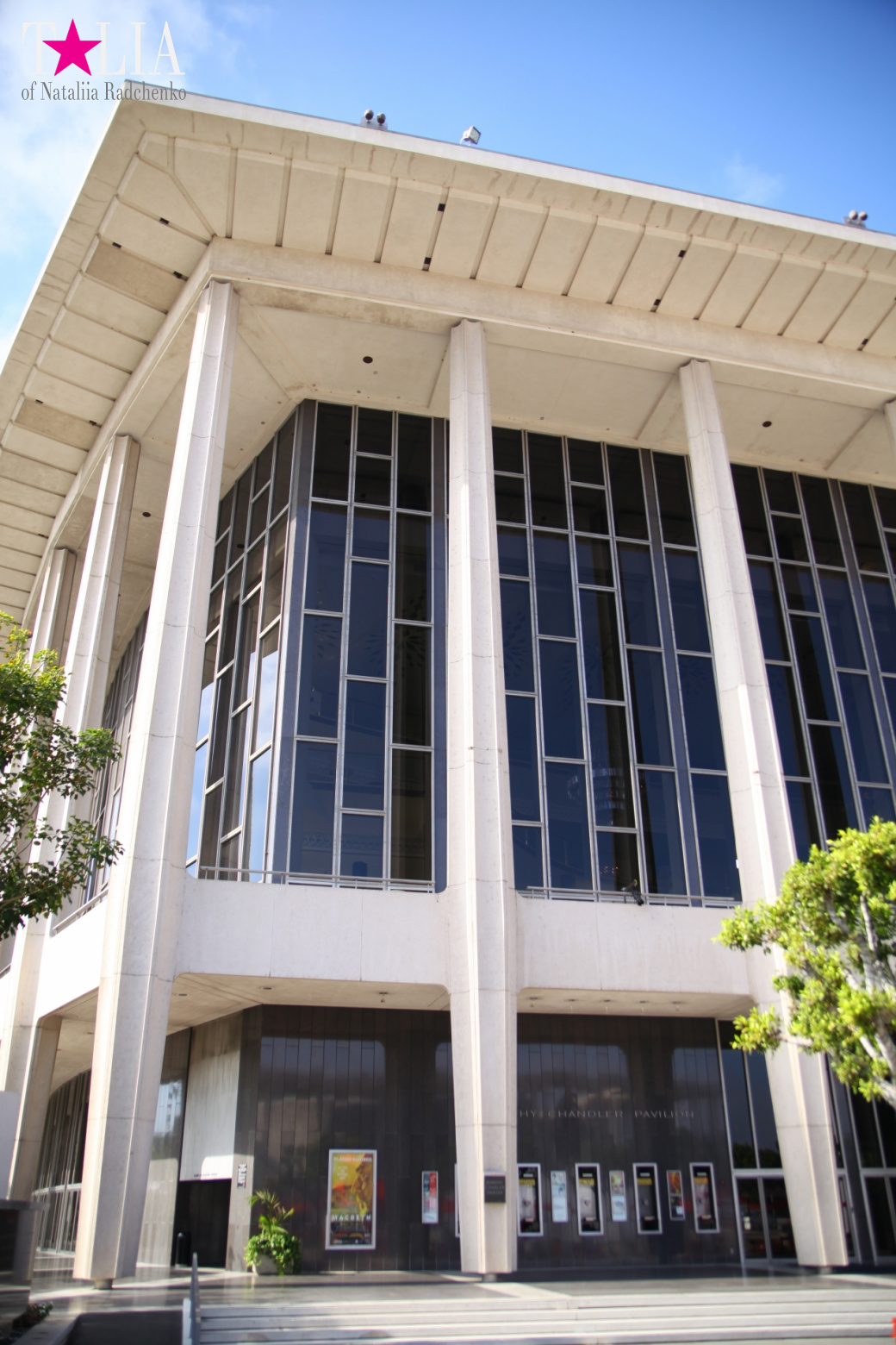 Downtown Los Angeles + Sign LAX (California)