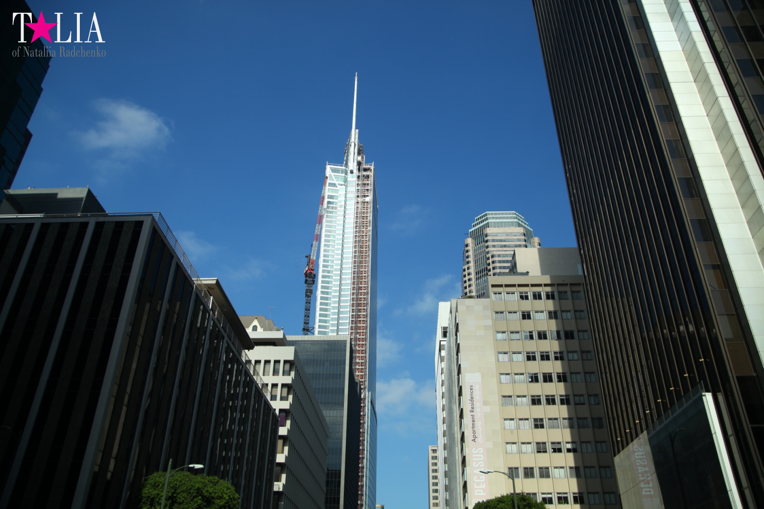 Downtown Los Angeles + Sign LAX (California)
