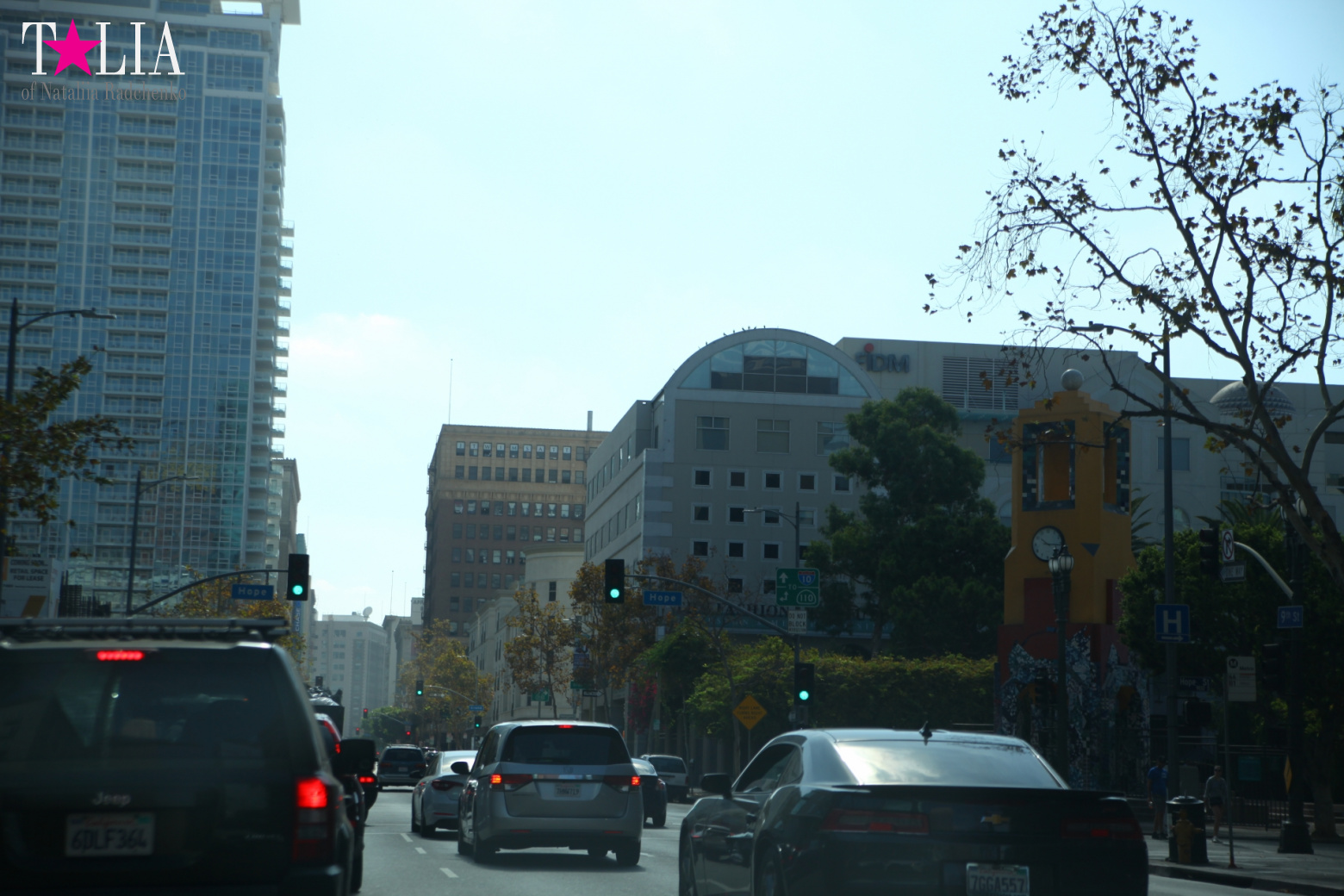 Downtown Los Angeles + Sign LAX (California)