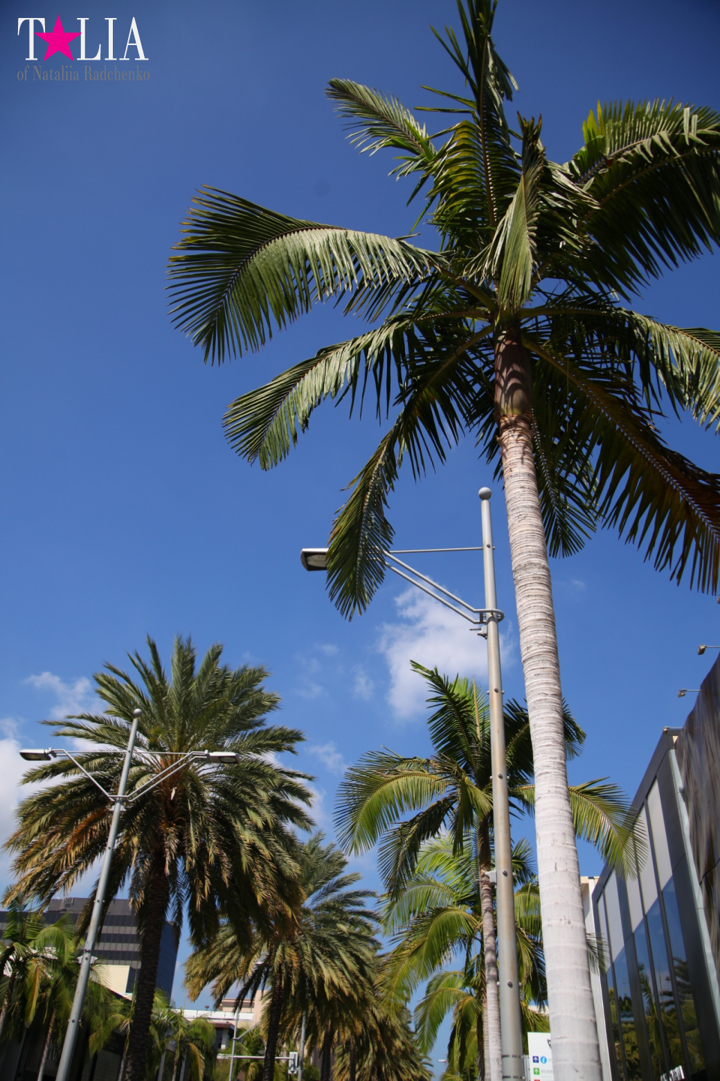 Родео-Драйв в Беверли Хиллз. Лос-Анджелес, Калифорния, США