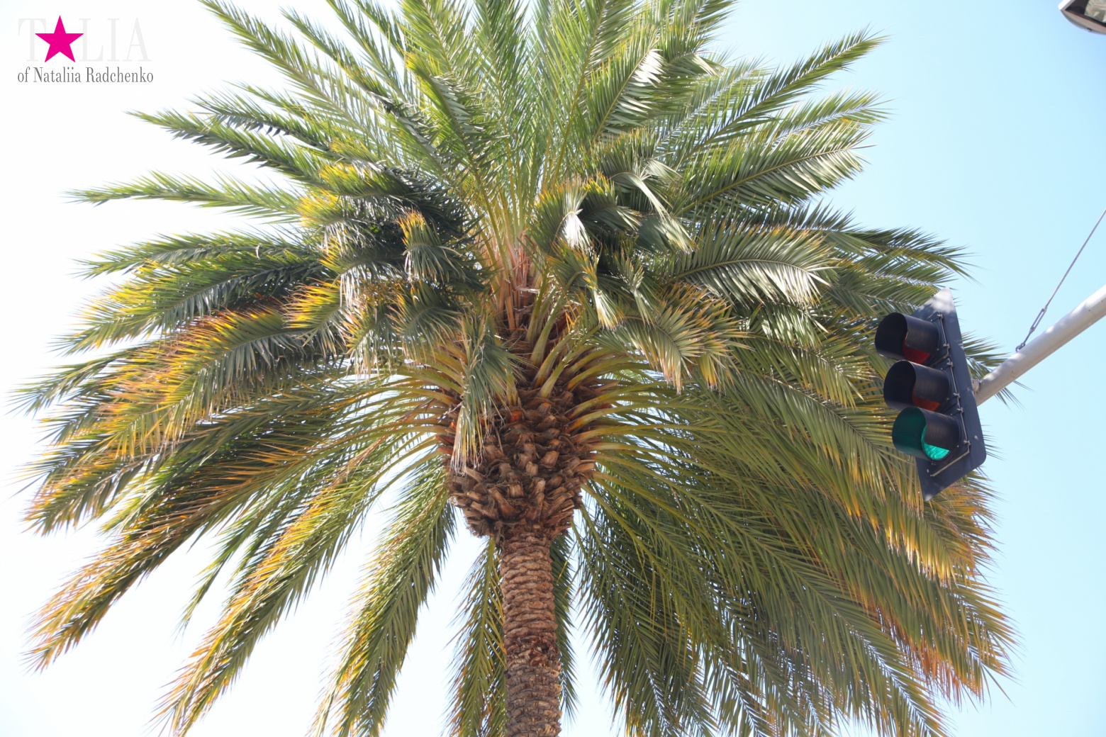 Родео-Драйв в Беверли Хиллз. Лос-Анджелес, Калифорния, США