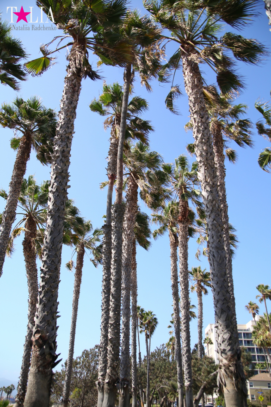 Santa Monica, Los Angeles, CA