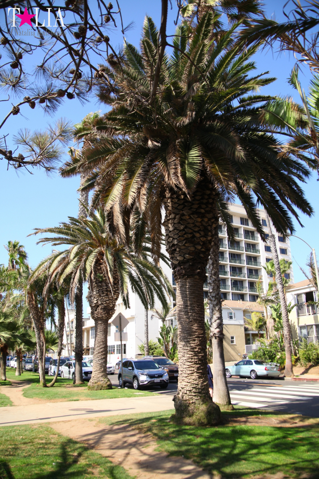 Санта-Моника, Лос-Анджелес, штат Калифорния