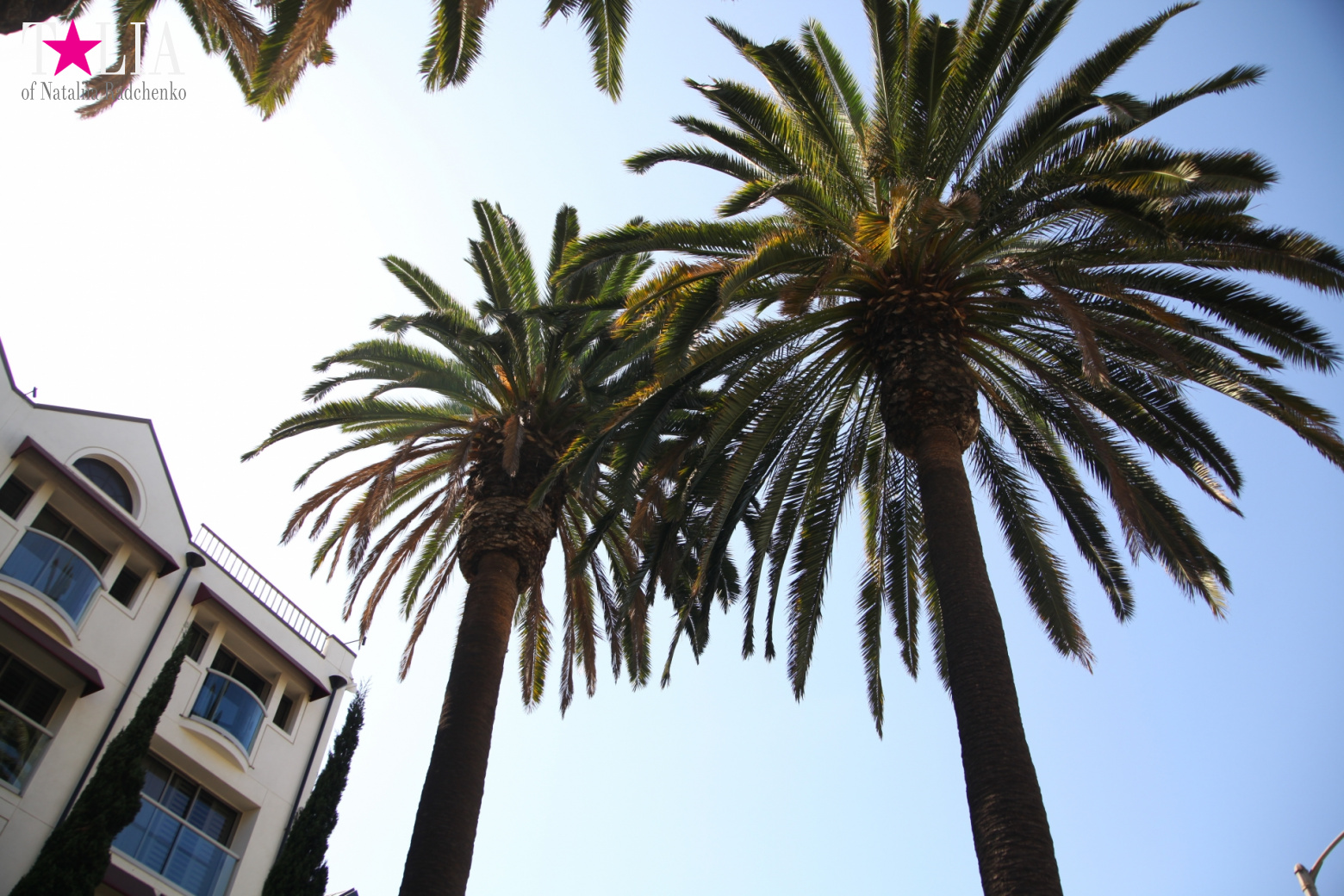 Санта-Моника, Лос-Анджелес, штат Калифорния