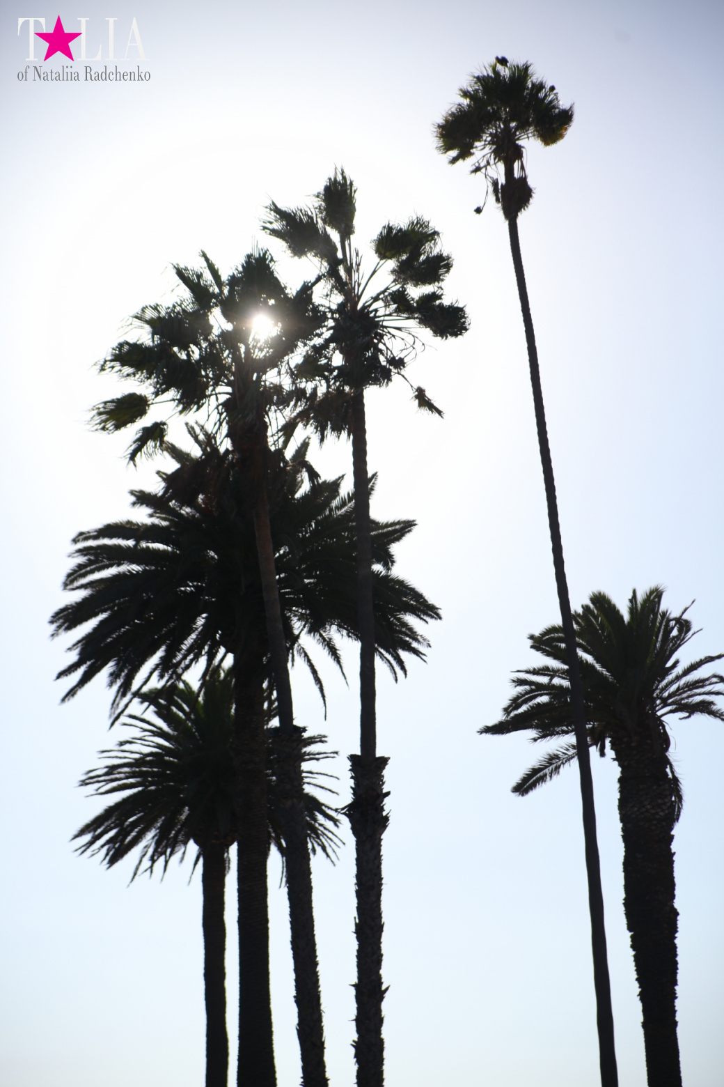 Санта-Моника, Лос-Анджелес, штат Калифорния