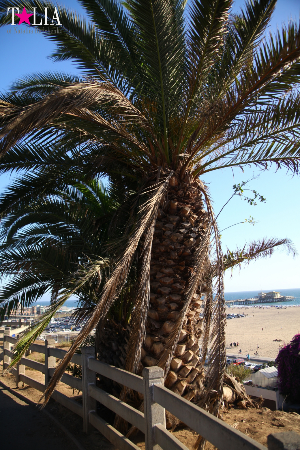 Santa Monica, Los Angeles, CA