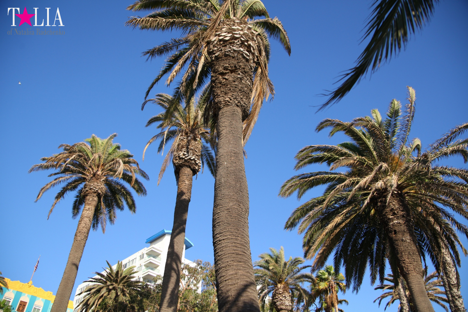 Санта-Моника, Лос-Анджелес, штат Калифорния