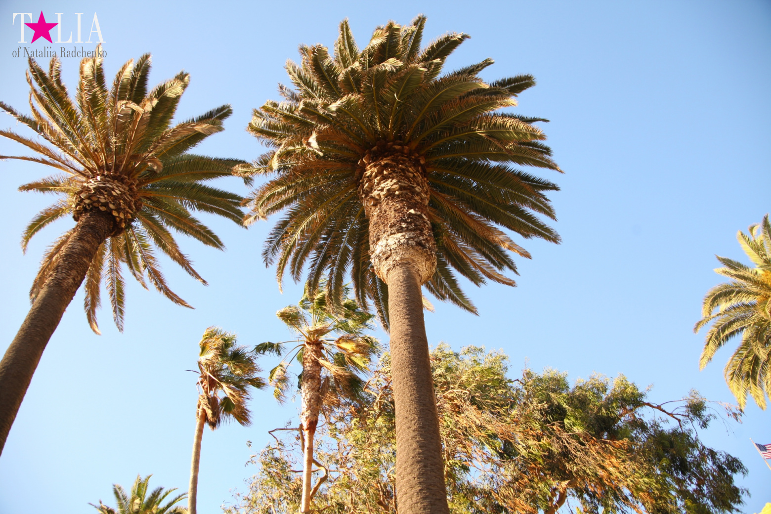 Санта-Моника, Лос-Анджелес, штат Калифорния