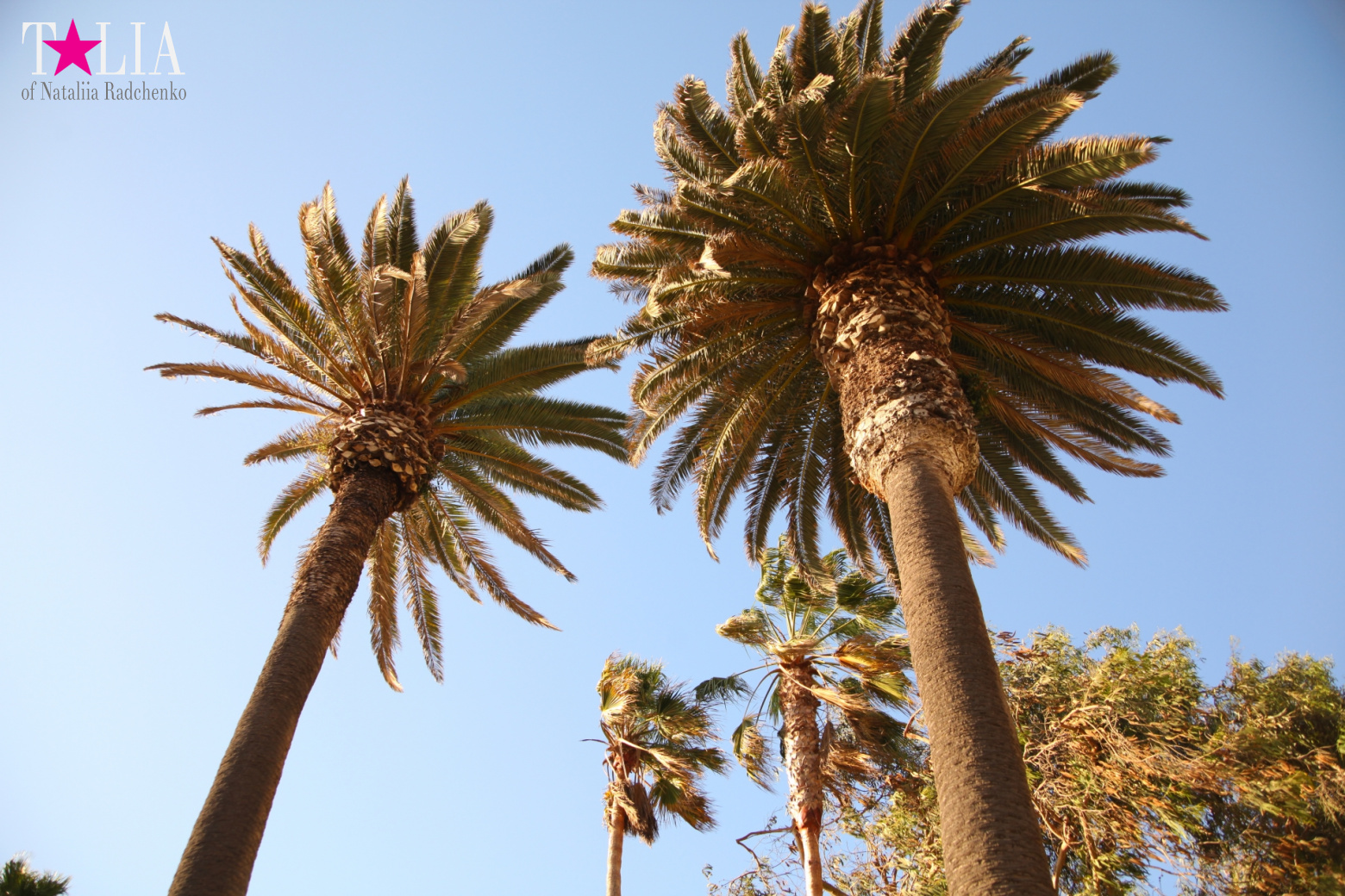 Санта-Моника, Лос-Анджелес, штат Калифорния