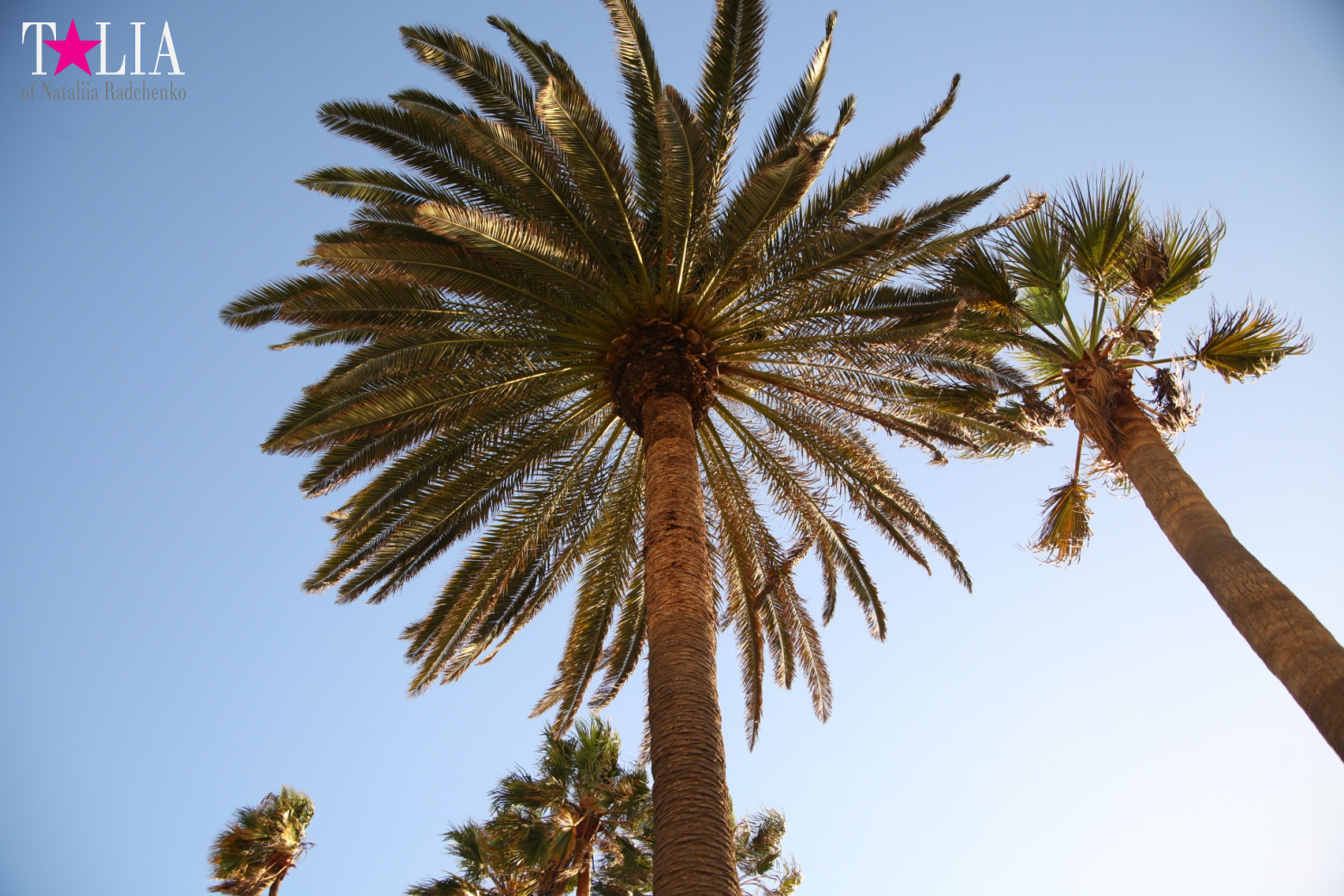 Санта-Моника, Лос-Анджелес, штат Калифорния