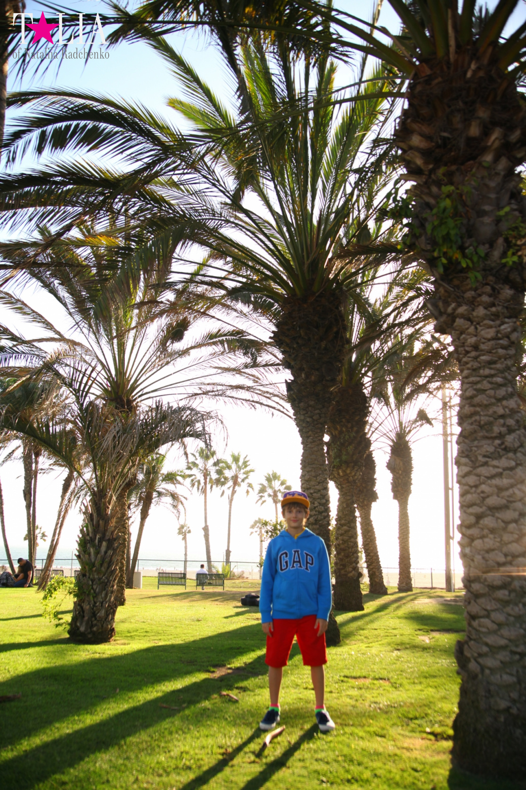 Санта-Моника, Лос-Анджелес, штат Калифорния