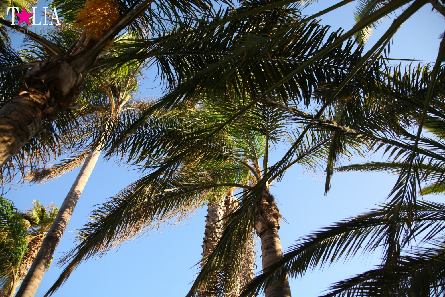 Санта-Моника, Лос-Анджелес, штат Калифорния