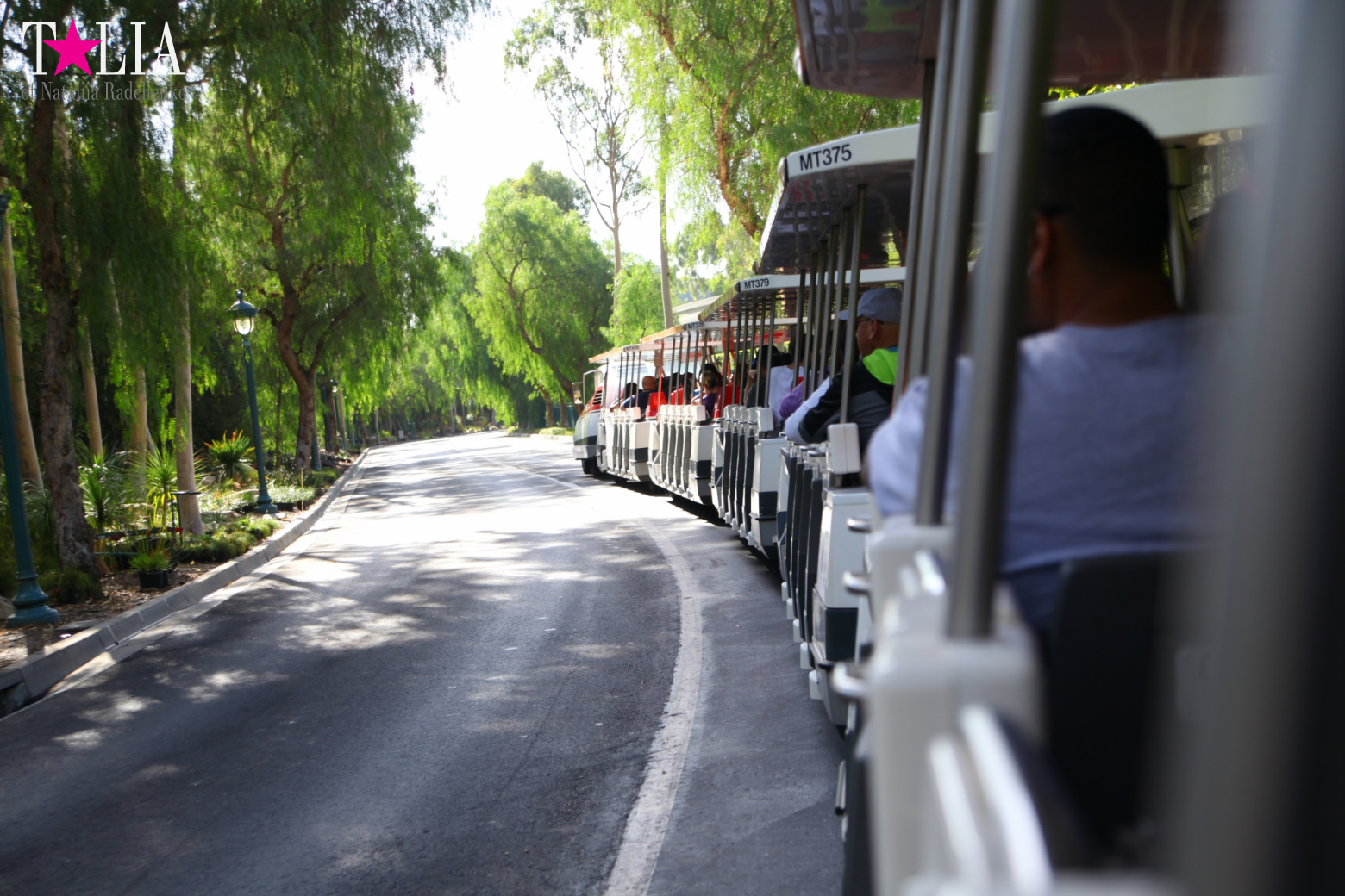 How to celebrate Halloween at the American Disneyland - decoration of the park  for Halloween